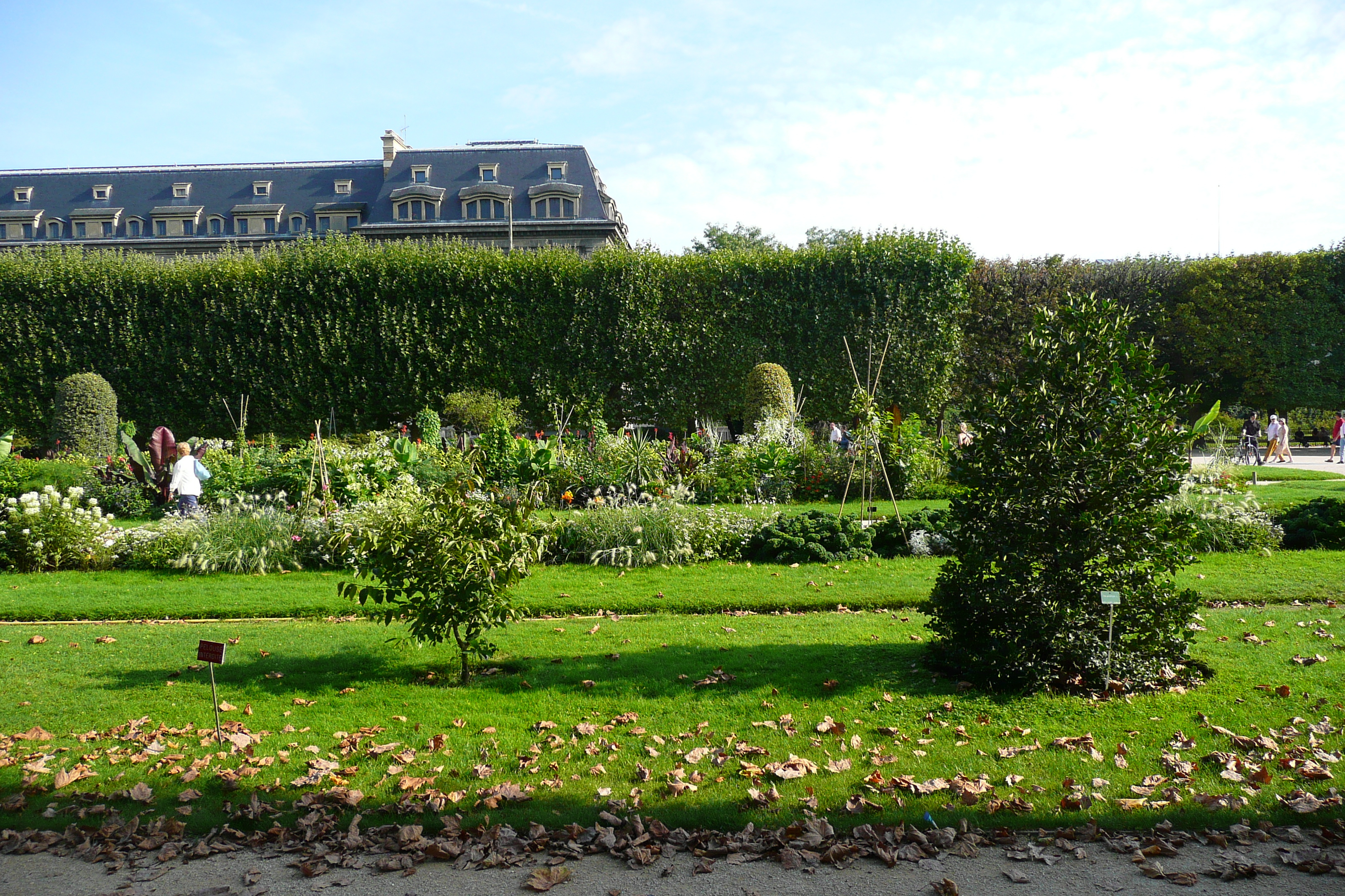 รูปถ่าย ฝรั่งเศส(France) ปารีส(Paris) สวนพันธ์ุพืช(Jardin des Plantes) 2007-08 138