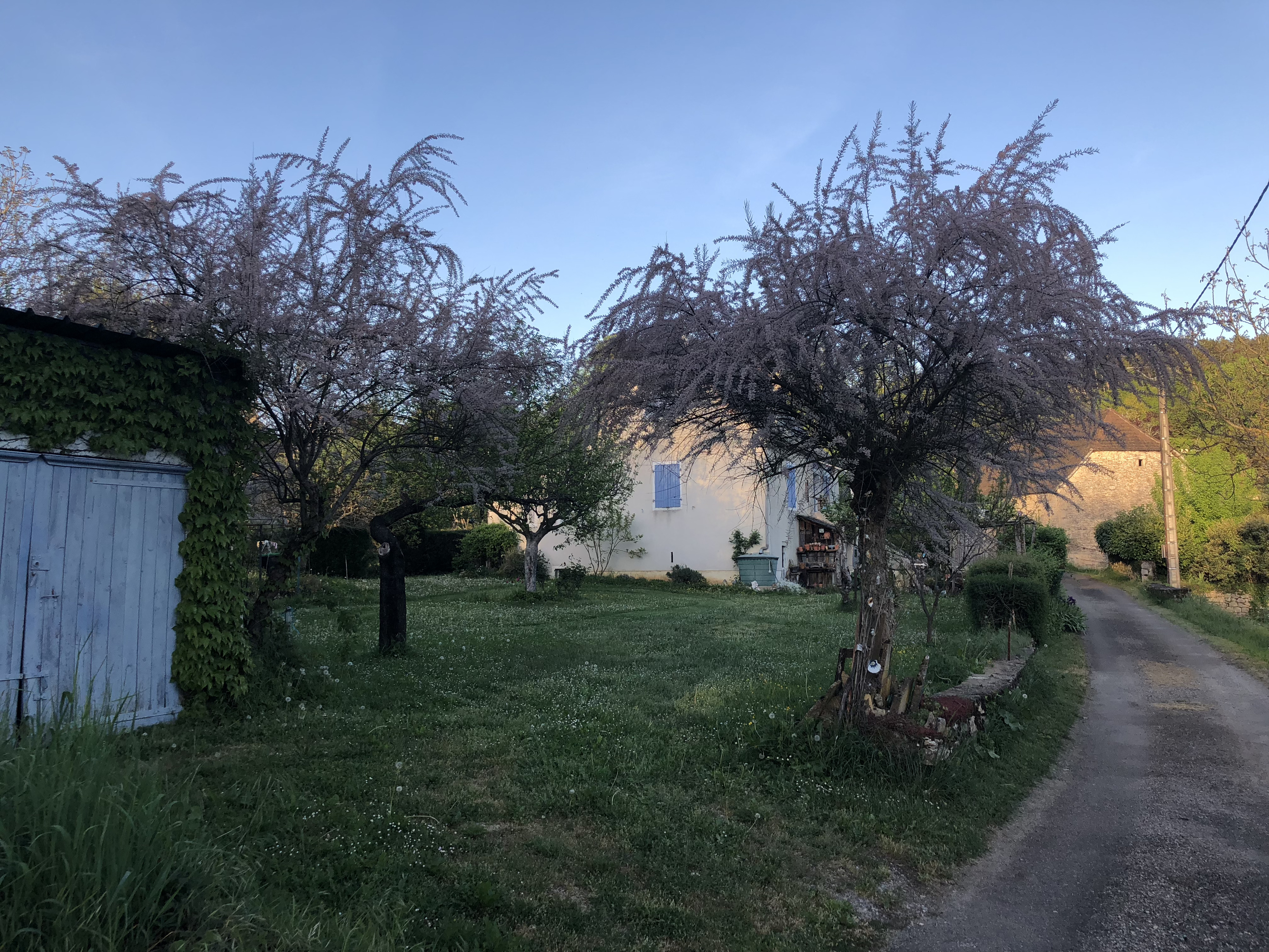 รูปถ่าย ฝรั่งเศส(France) ฟลัวรัก(Floirac) 2018-04 140