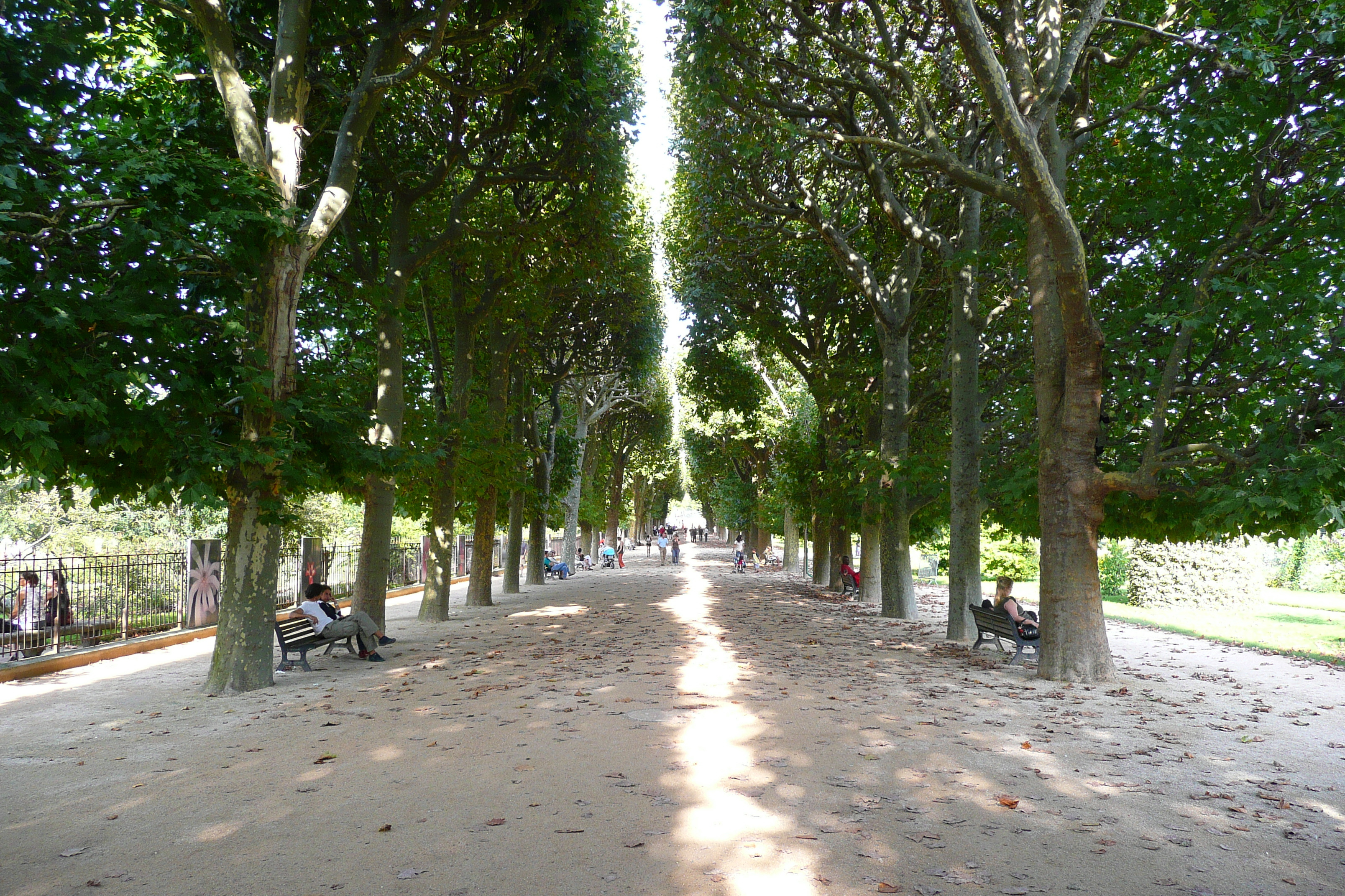 รูปถ่าย ฝรั่งเศส(France) ปารีส(Paris) สวนพันธ์ุพืช(Jardin des Plantes) 2007-08 158