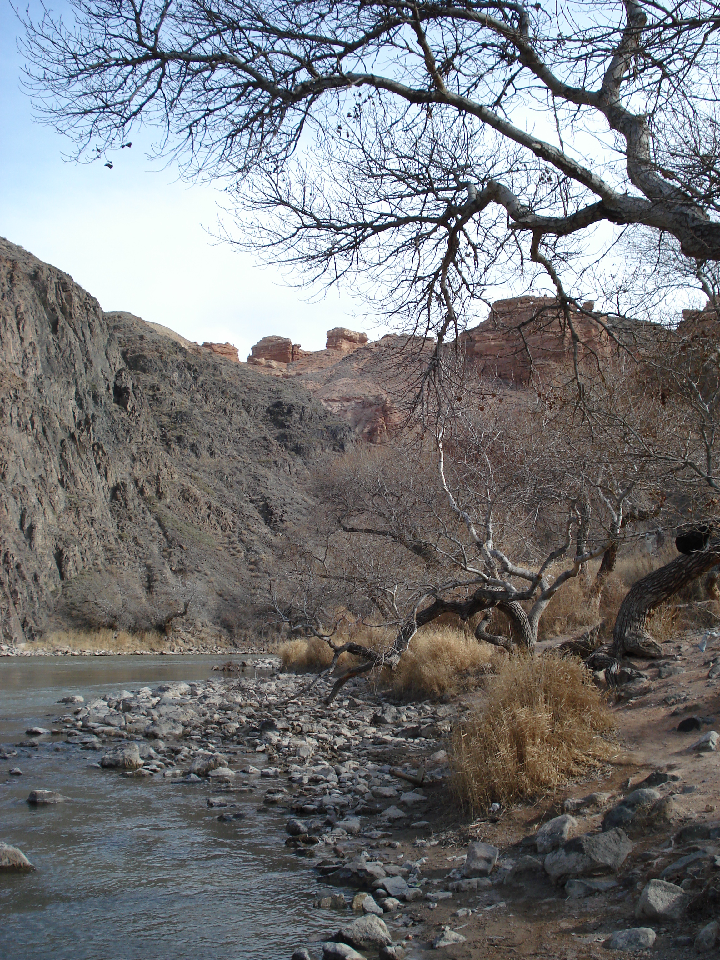 รูปถ่าย คาซัคสถาน(Kazakhstan) หุบผาชารึน(Charyn Canyon) 2007-03 49