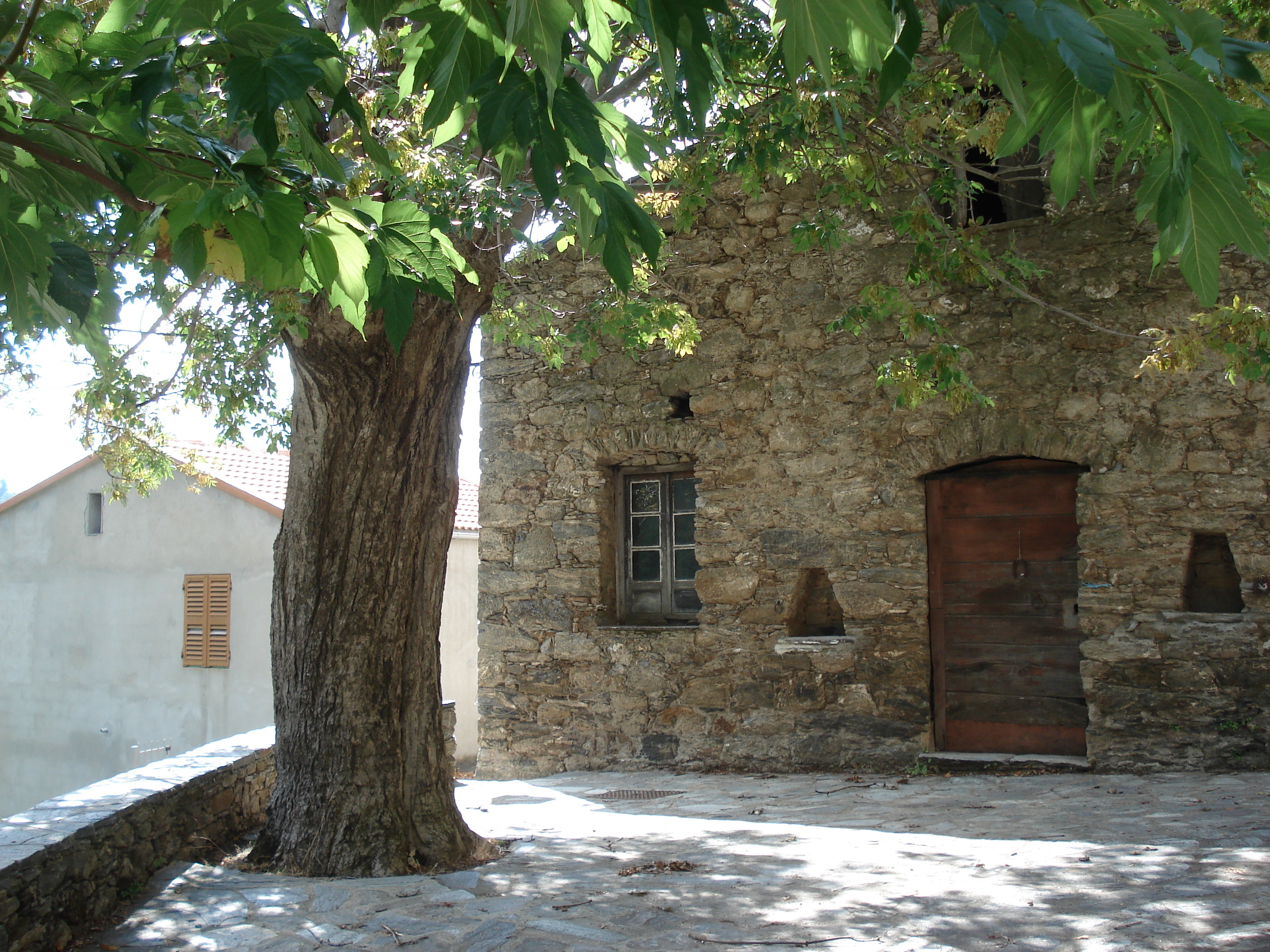 รูปถ่าย ฝรั่งเศส(France) คอร์สิคา(Corsica) วัลเล-ดาเลซานี(Valle d'alesani) 2006-09 74