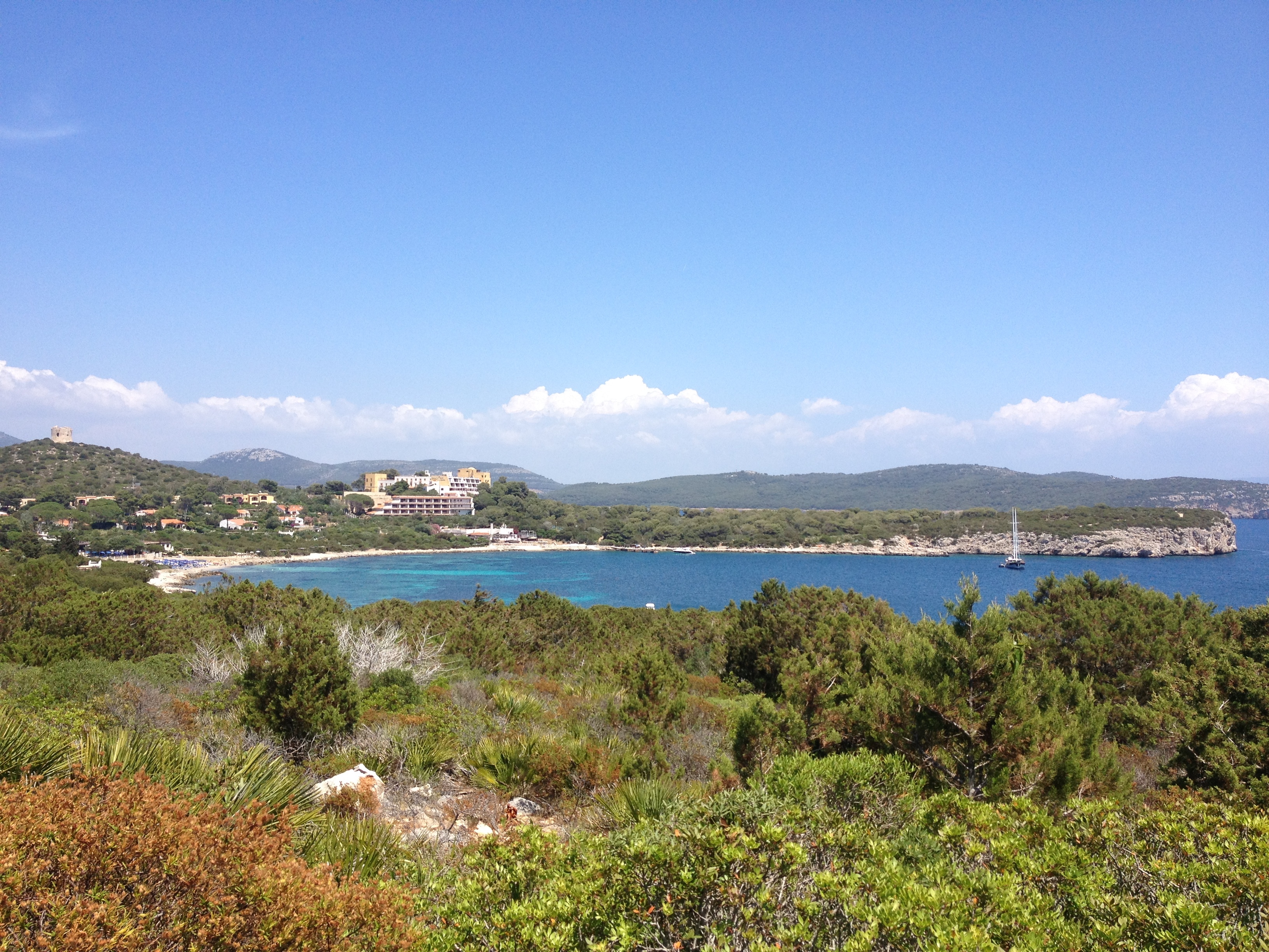 รูปถ่าย อิตาลี(Italy) ซาร์ดิเนีย(Sardinia) อุทยานธรรมชาติปอร์โตกอนเต(Porto Conte Regional Natural Park) 2015-06 16