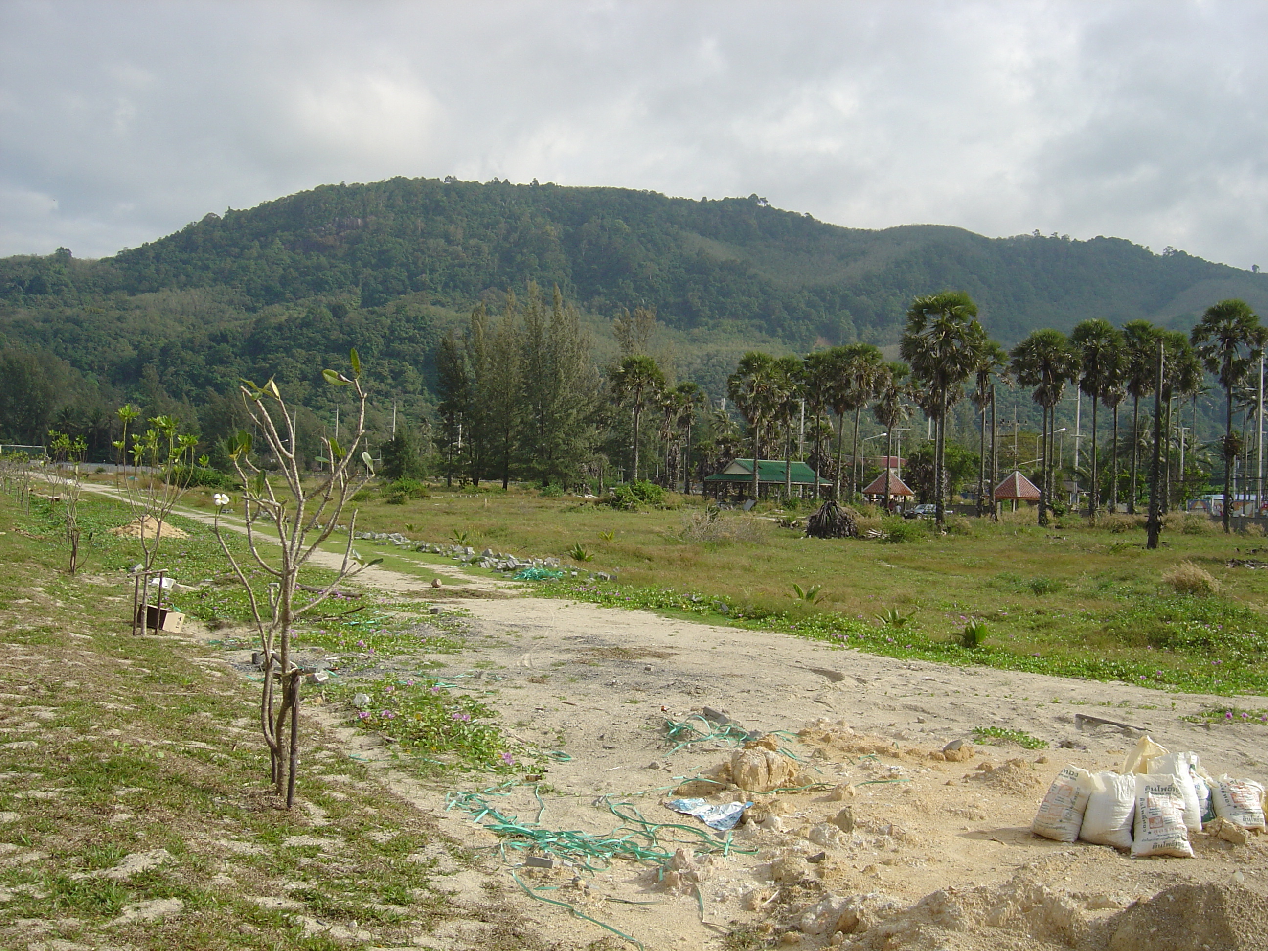 รูปถ่าย ไทย(Thailand) ภูเก็ต(Phuket) หาดกมลา(Kamala Beach) 2005-12 54