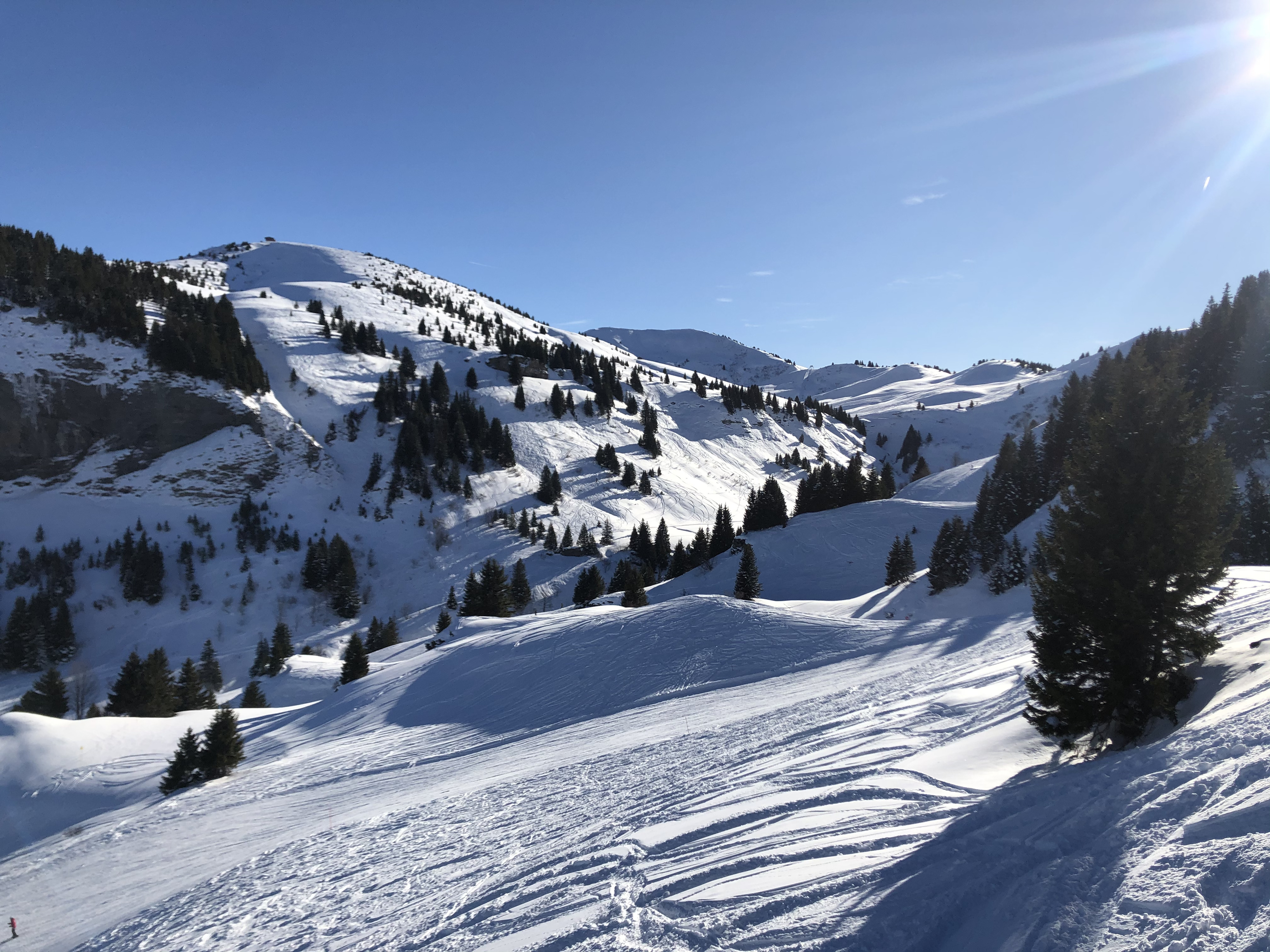 รูปถ่าย ฝรั่งเศส(France) ปรา-ซูร์-อาร์ลี(Praz sur Arly) 2019-12 203