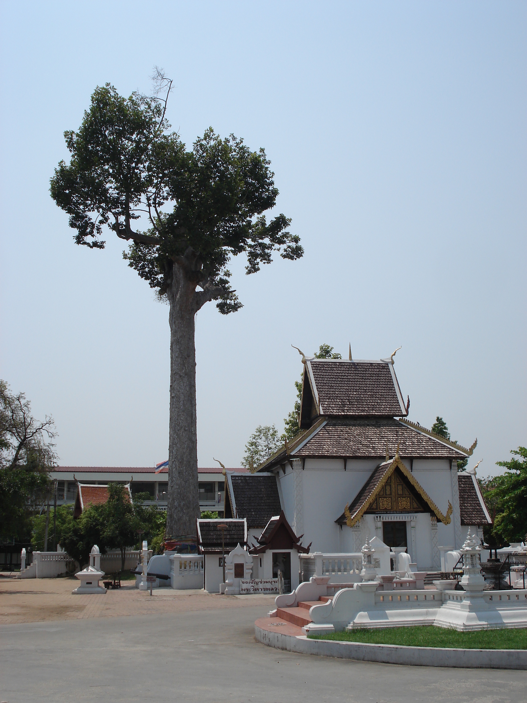 รูปถ่าย ไทย(Thailand) เชียงใหม่(Chiang Mai) ข้างในคุเมืองเชียงใหม่(Inside Canal) วัดเจดีย์หลวงวรวิหาร(Wat Chediluang Varaviharn temple) 2006-04 4