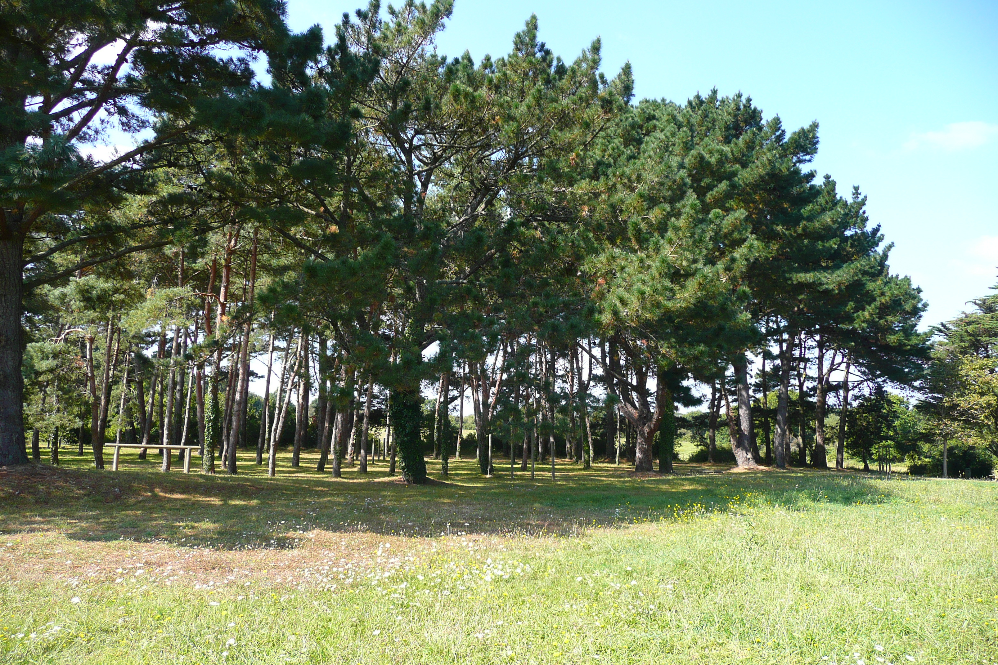 รูปถ่าย ฝรั่งเศส(France) ซืสซีนีโอ(Suscinio) 2007-09 35