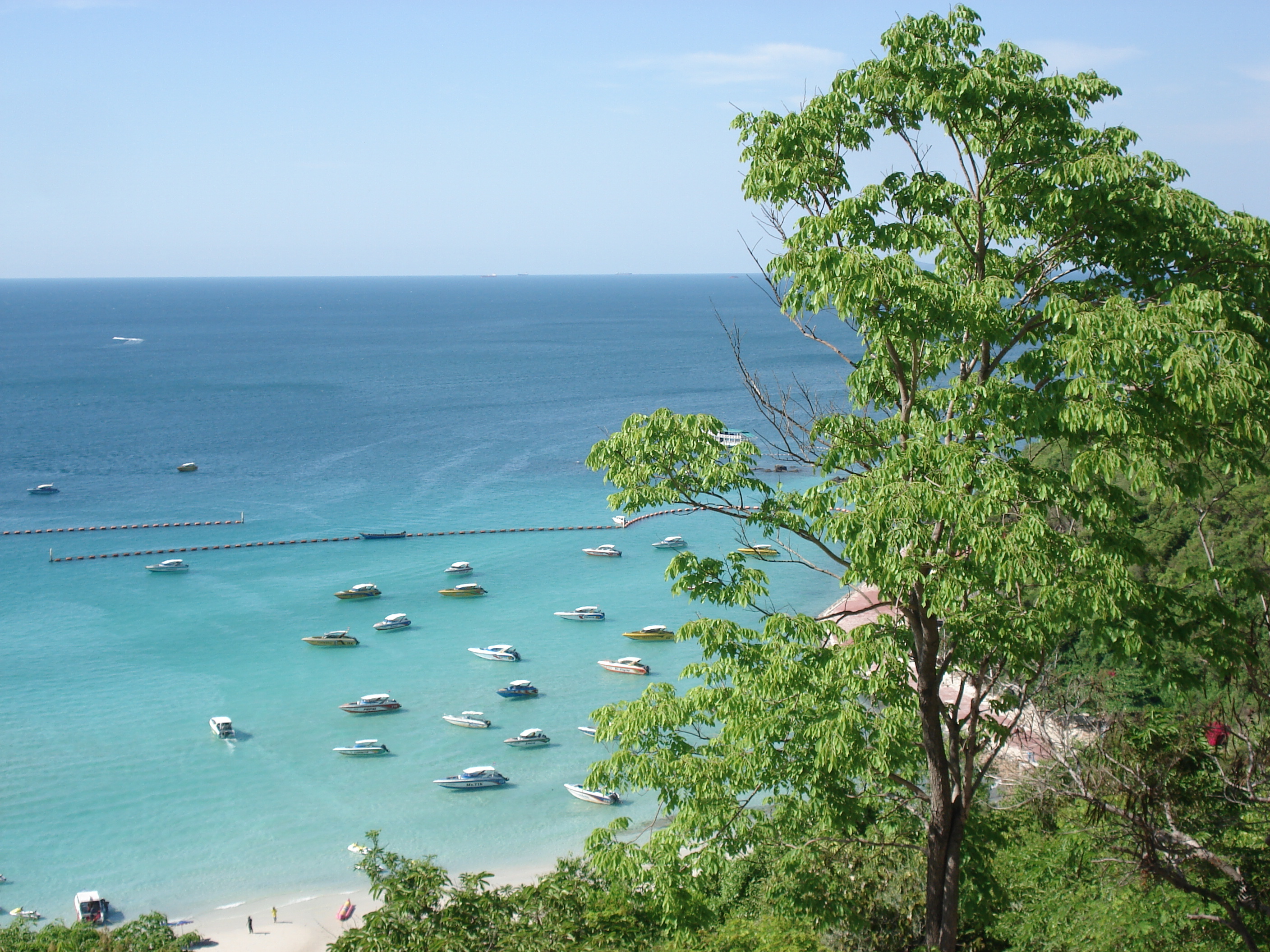 รูปถ่าย ไทย(Thailand) พัทยา(Pattaya) เกาะล้าน(Ko Larn) 2006-04 71