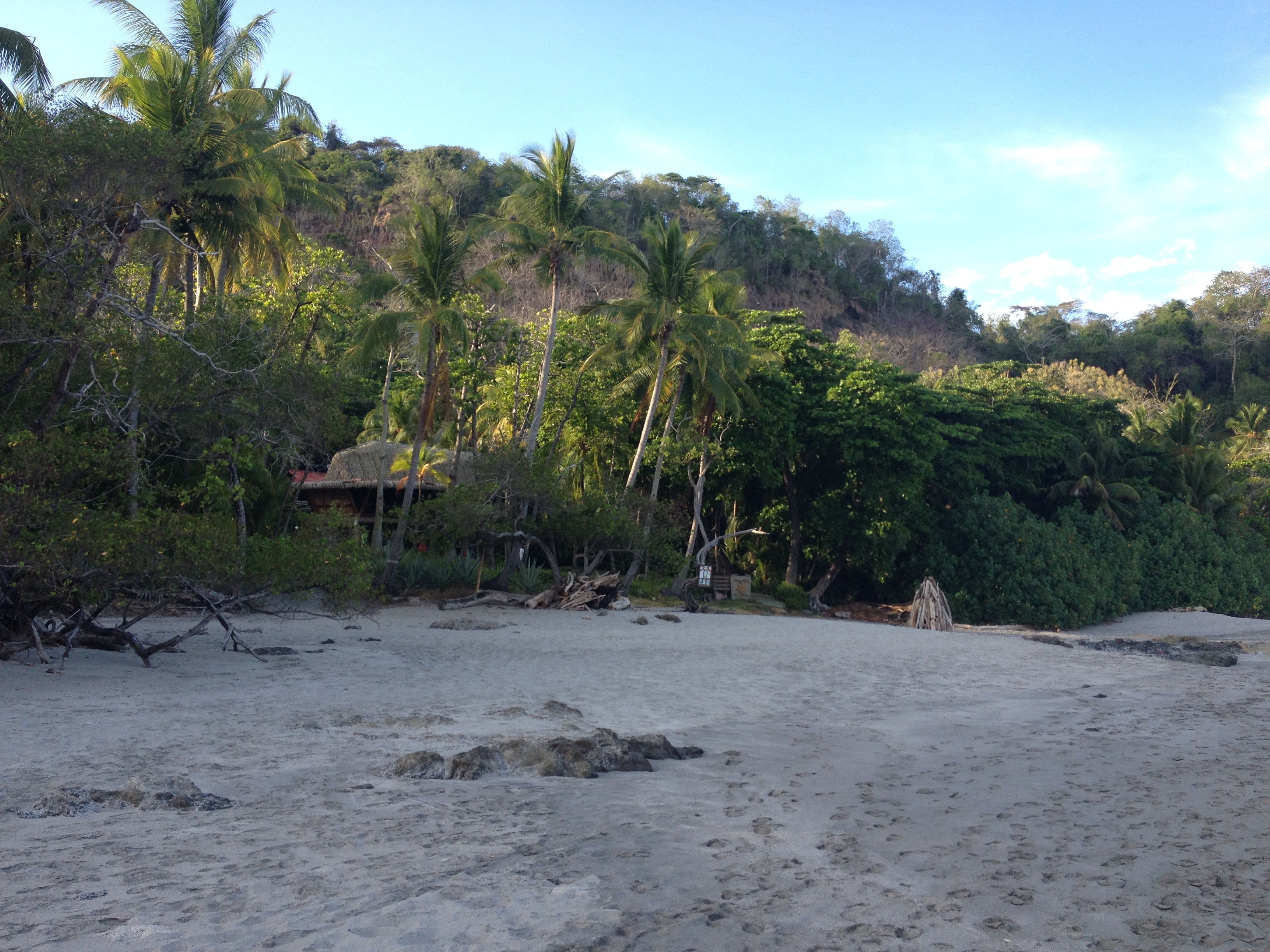 รูปถ่าย คอสตาริกา(Costa Rica) มอนเตซูมา(Montezuma) 2015-03 93