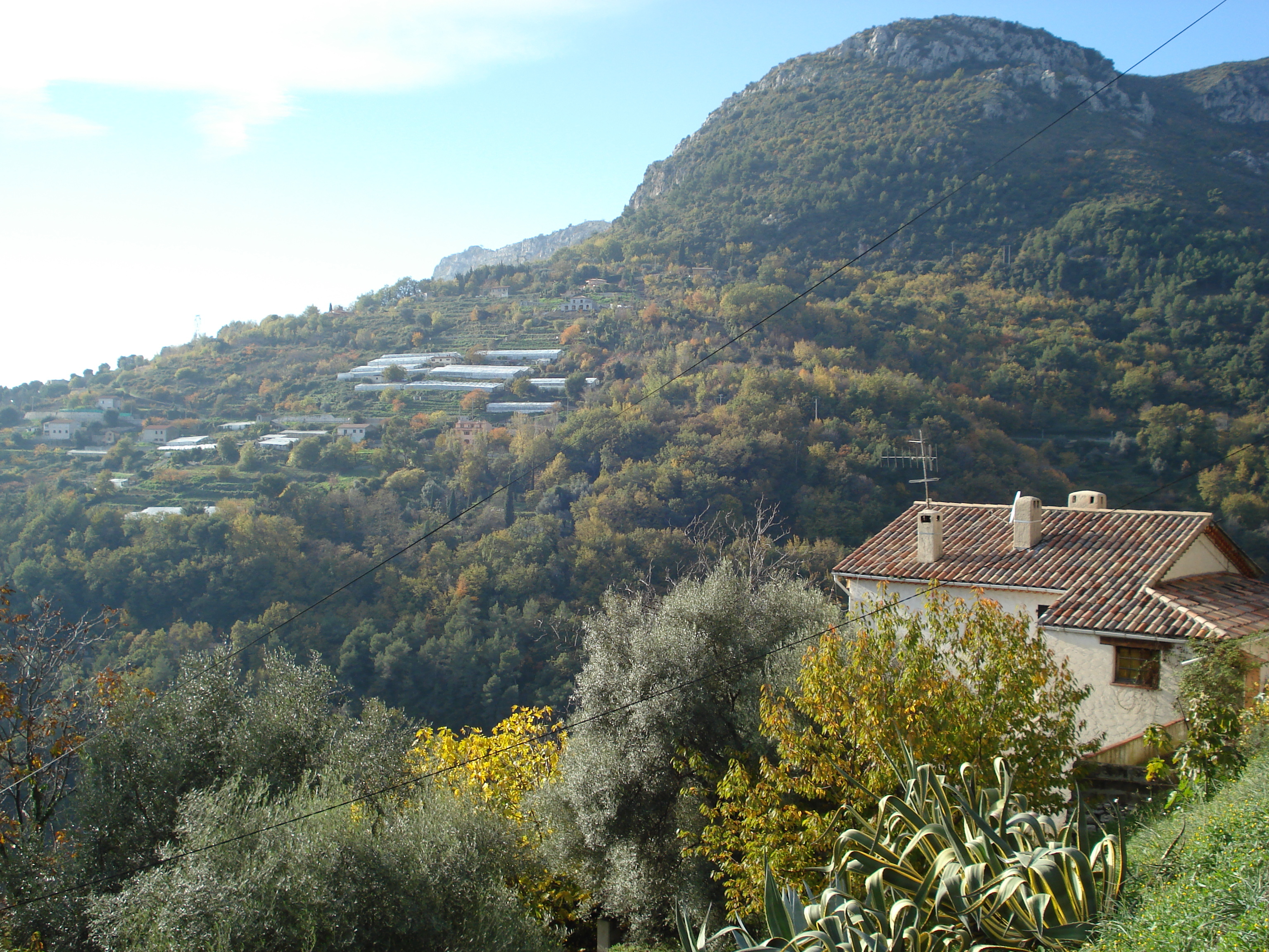 รูปถ่าย ฝรั่งเศส(France) เฟรนช์ริวิเอรา(French Riviera) ถนนจากวองซ์ไปแซ็ง-ฌาเน(Vence to St. Jeannet Road) 2006-12 40