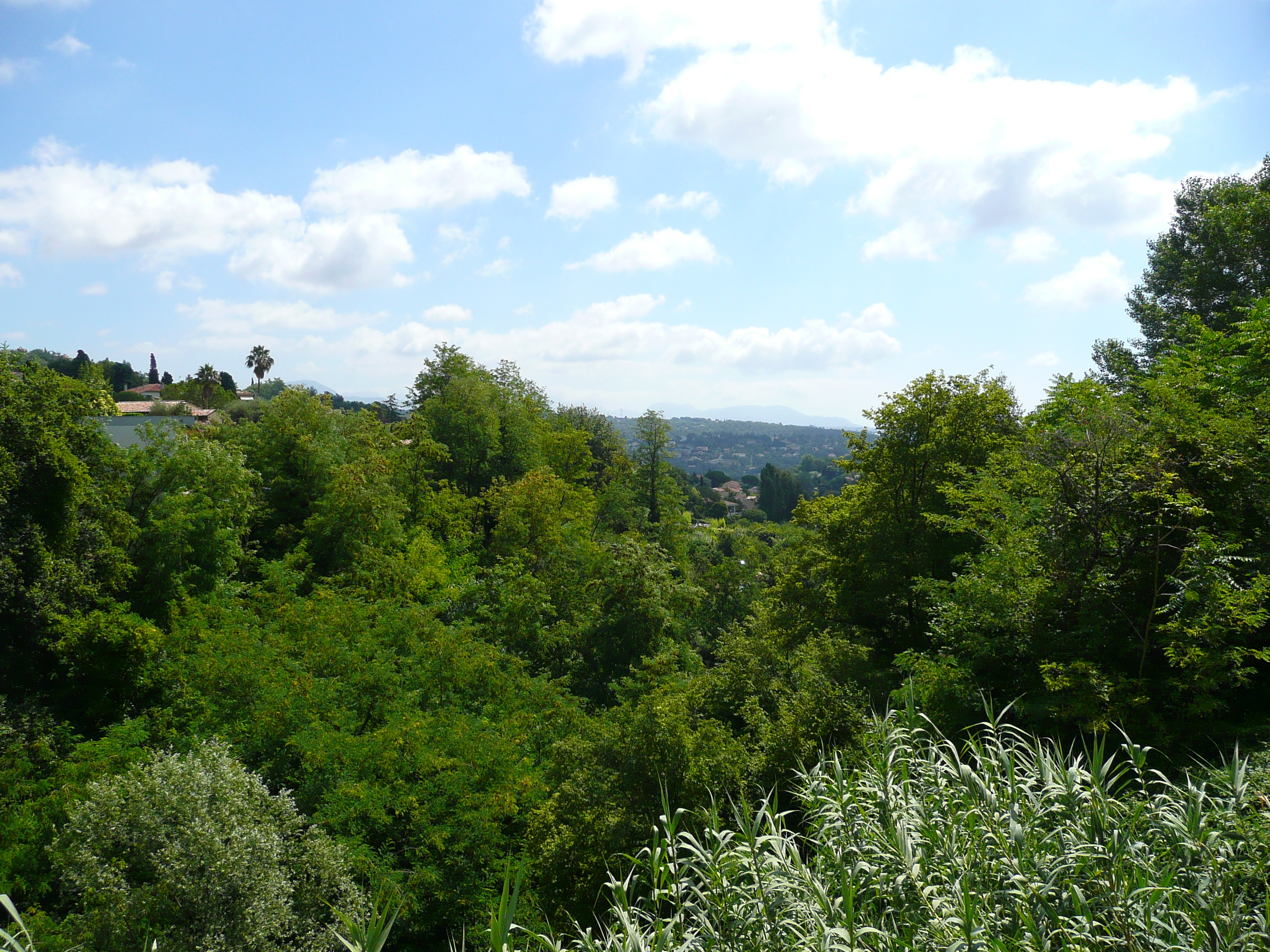 รูปถ่าย ฝรั่งเศส(France) วังซ์(Vence) ถนนอ็องรี-อีนาร์(Avenue H. Isnard) 2007-07 35