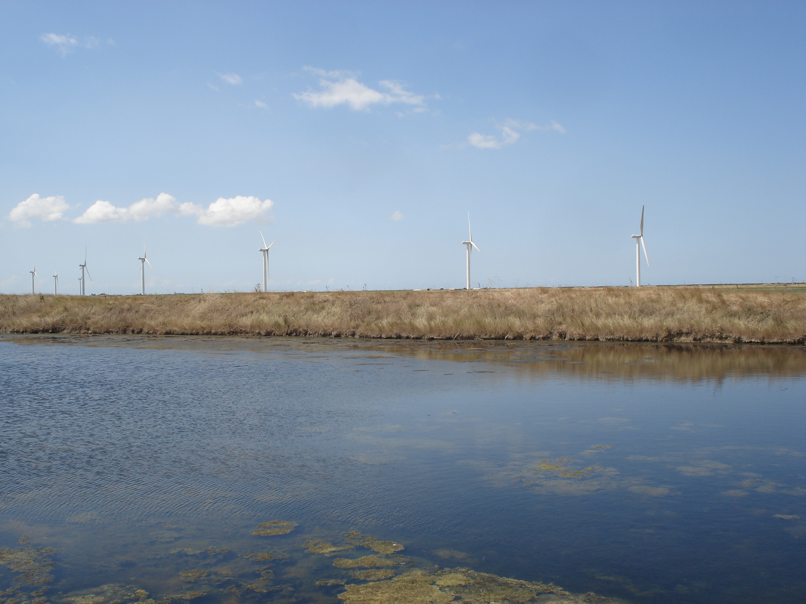 รูปถ่าย ฝรั่งเศส(France) วองเด(Vendee) 2006-08 3