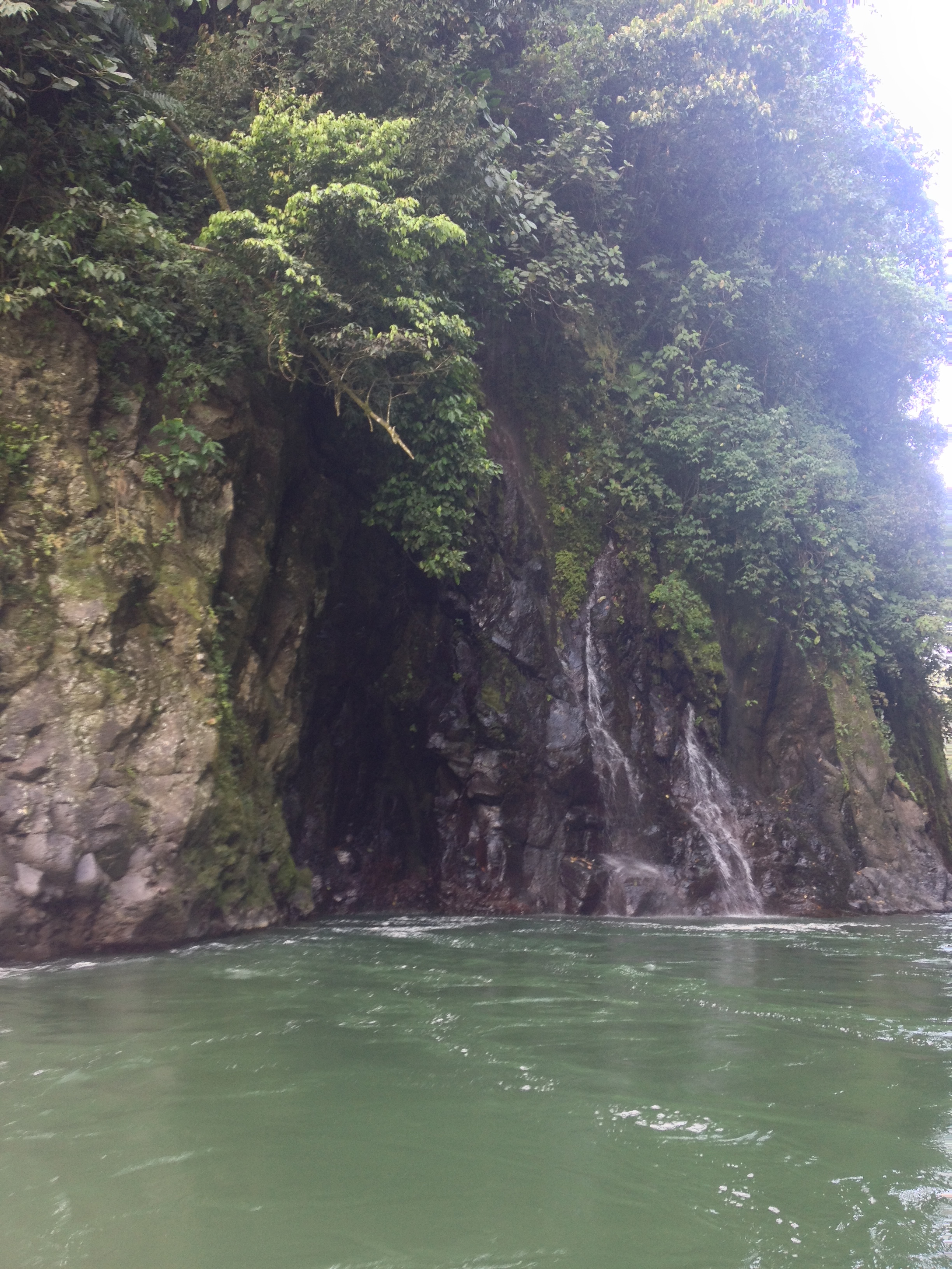 รูปถ่าย คอสตาริกา(Costa Rica) แม่น้ำปากัวเร(Pacuare River) 2015-03 132