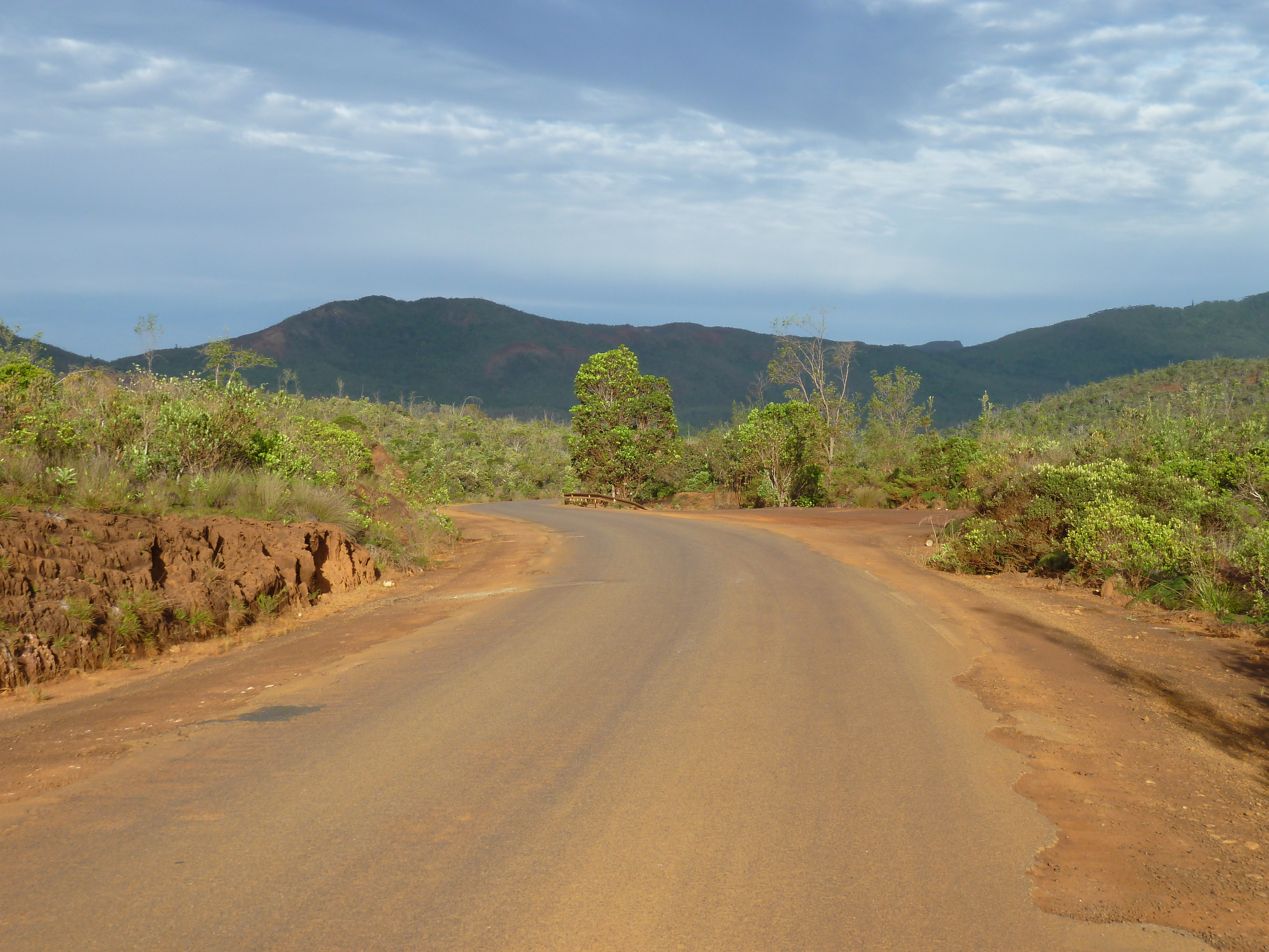 รูปถ่าย นิวแคลิโดเนีย(New Caledonia) อุทยานริเวียร์เบลอ(Parc de la Riviere Bleue) 2010-05 138