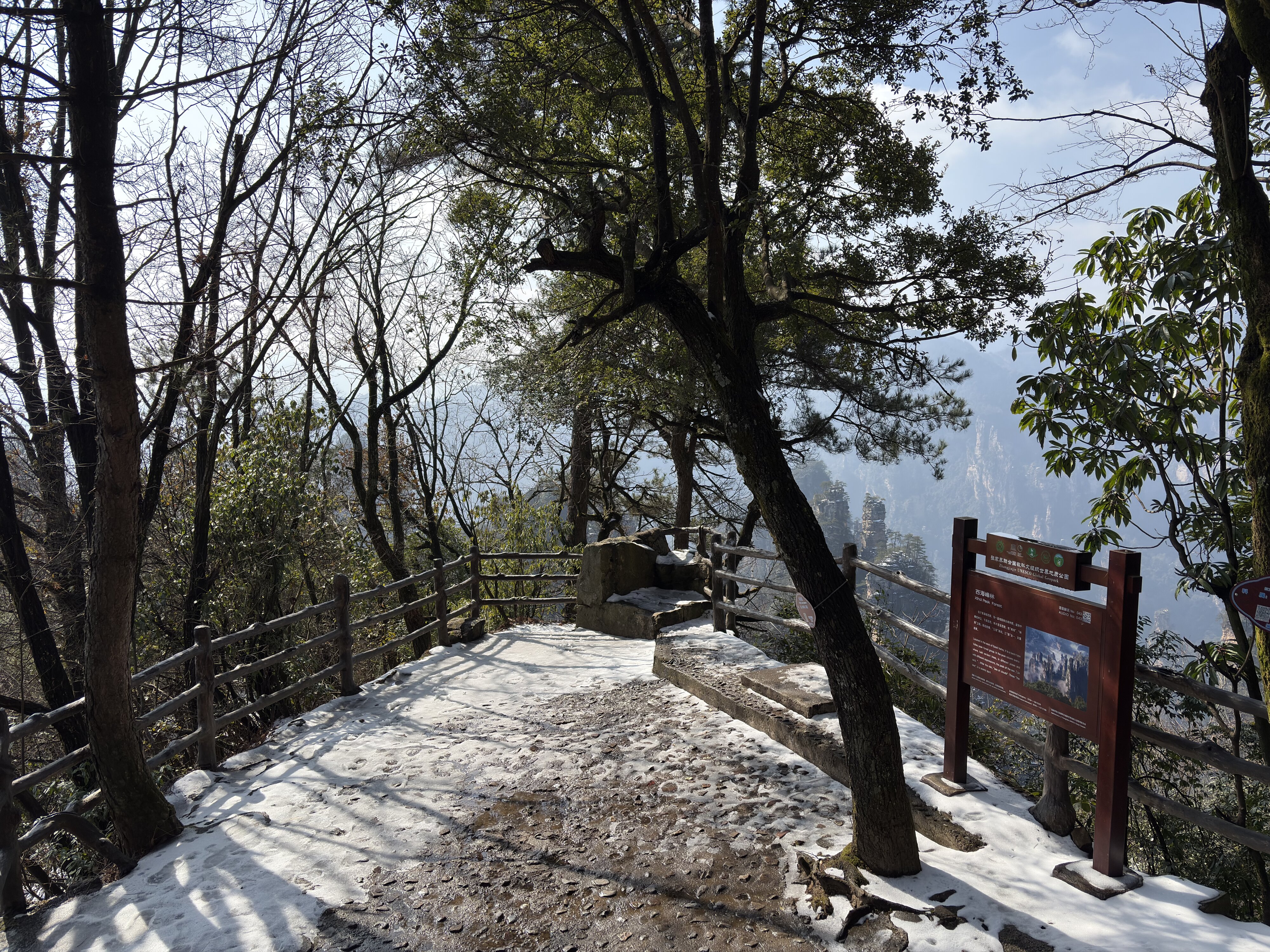 รูปถ่าย จีน(China) จางเจียเจี้ย(Zhangjiajie) ภูเขาเทียนจื่อ(Tianzi Mountain) 2026-01 415