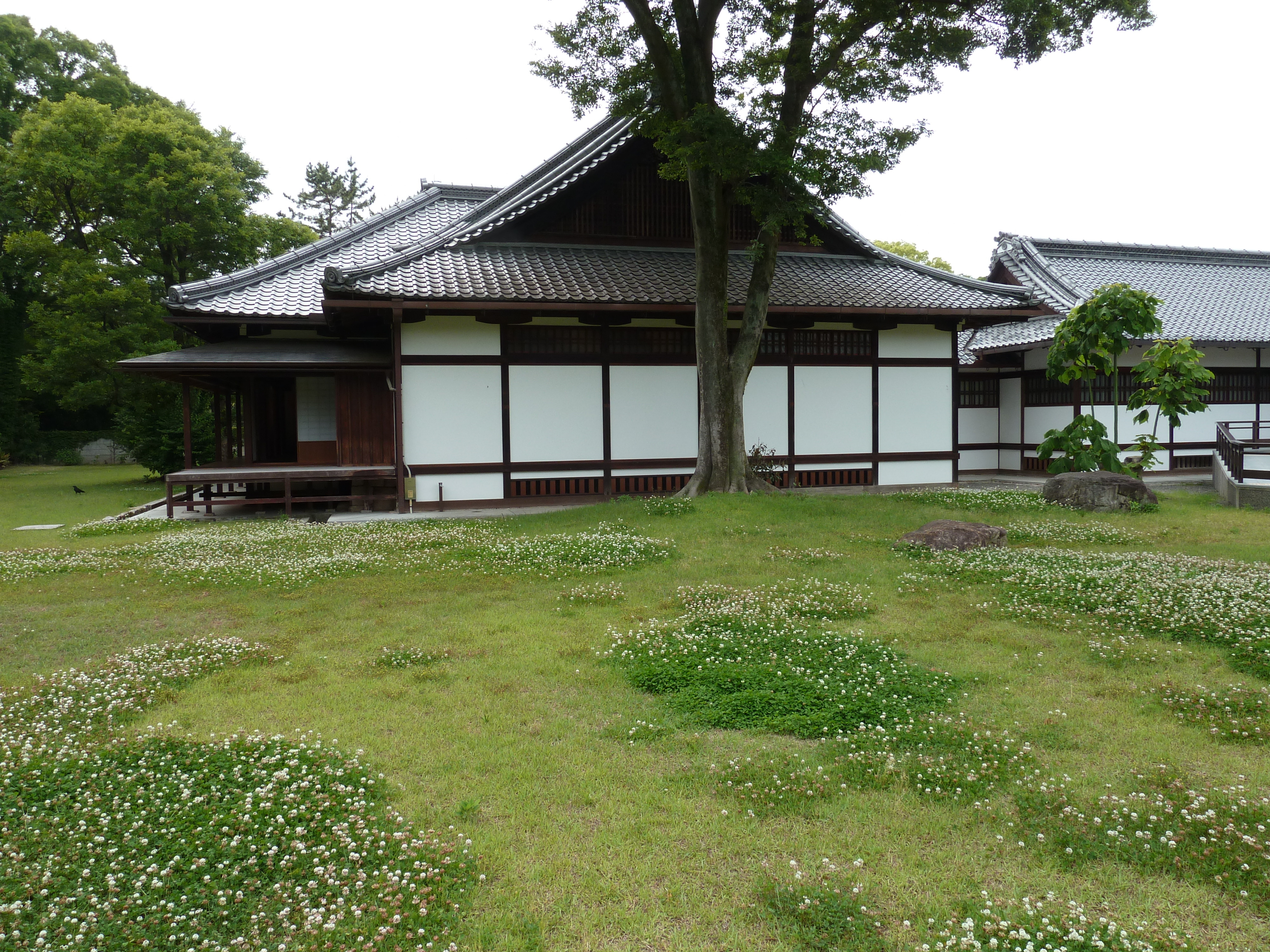 รูปถ่าย ญี่ปุ่น(Japan) เกียวโต(Kyoto) สวนเกียวโตเกียวเอ็ง(Kyoto Gyoen Garden) 2010-06 15
