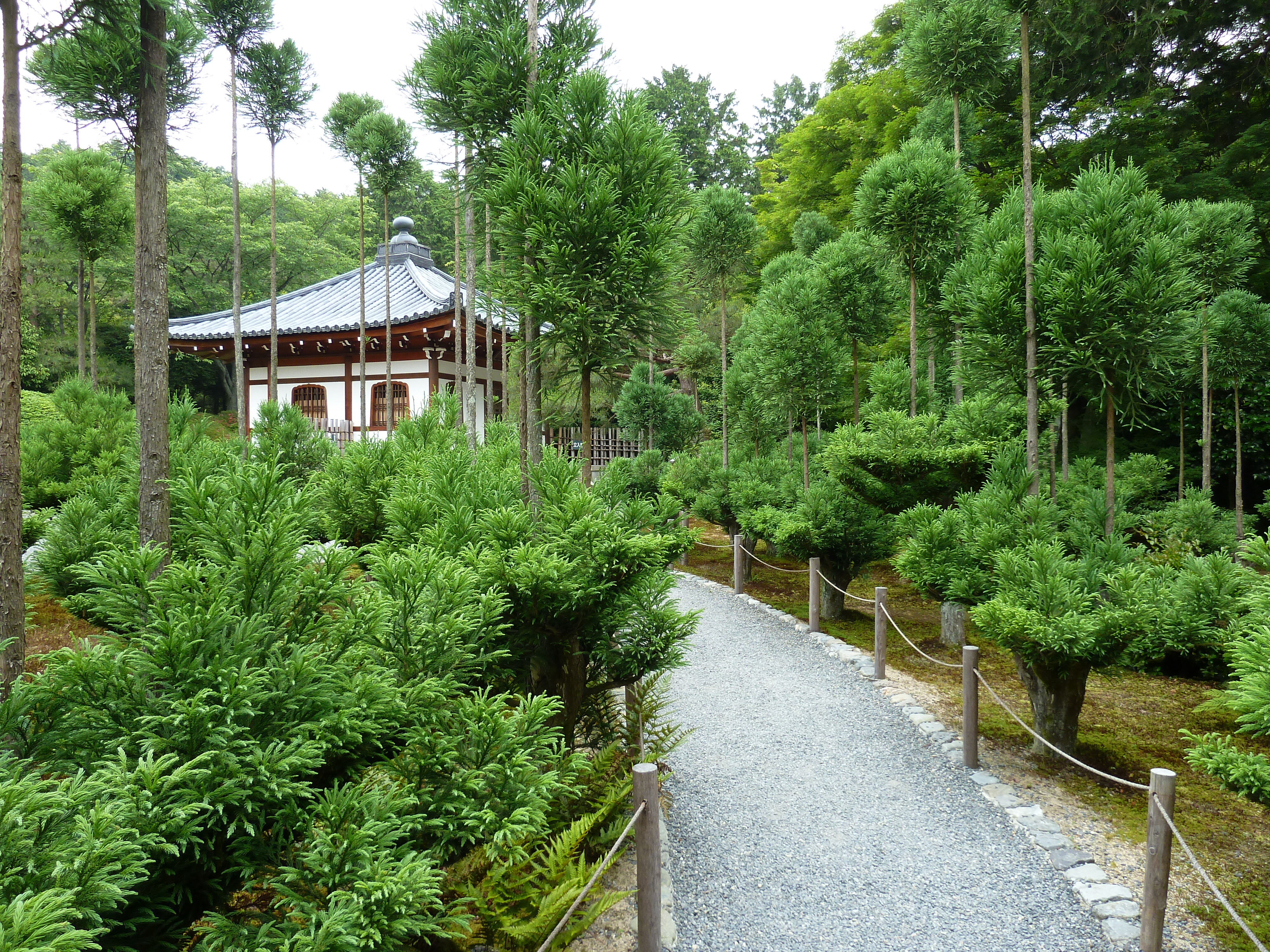 รูปถ่าย ญี่ปุ่น(Japan) เกียวโต(Kyoto) วัดเรียวอันจิ(Ryoanji Temple) 2010-06 29