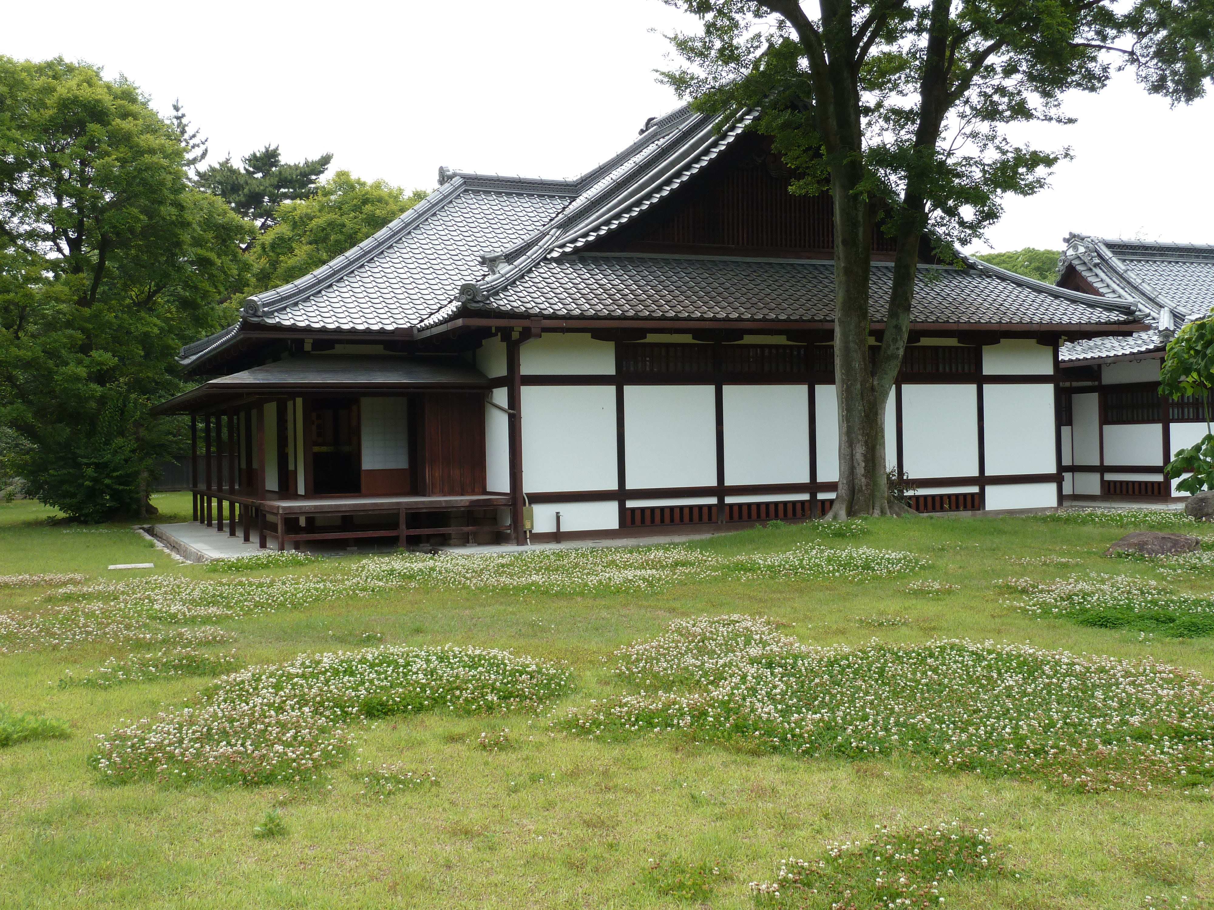 รูปถ่าย ญี่ปุ่น(Japan) เกียวโต(Kyoto) สวนเกียวโตเกียวเอ็ง(Kyoto Gyoen Garden) 2010-06 20