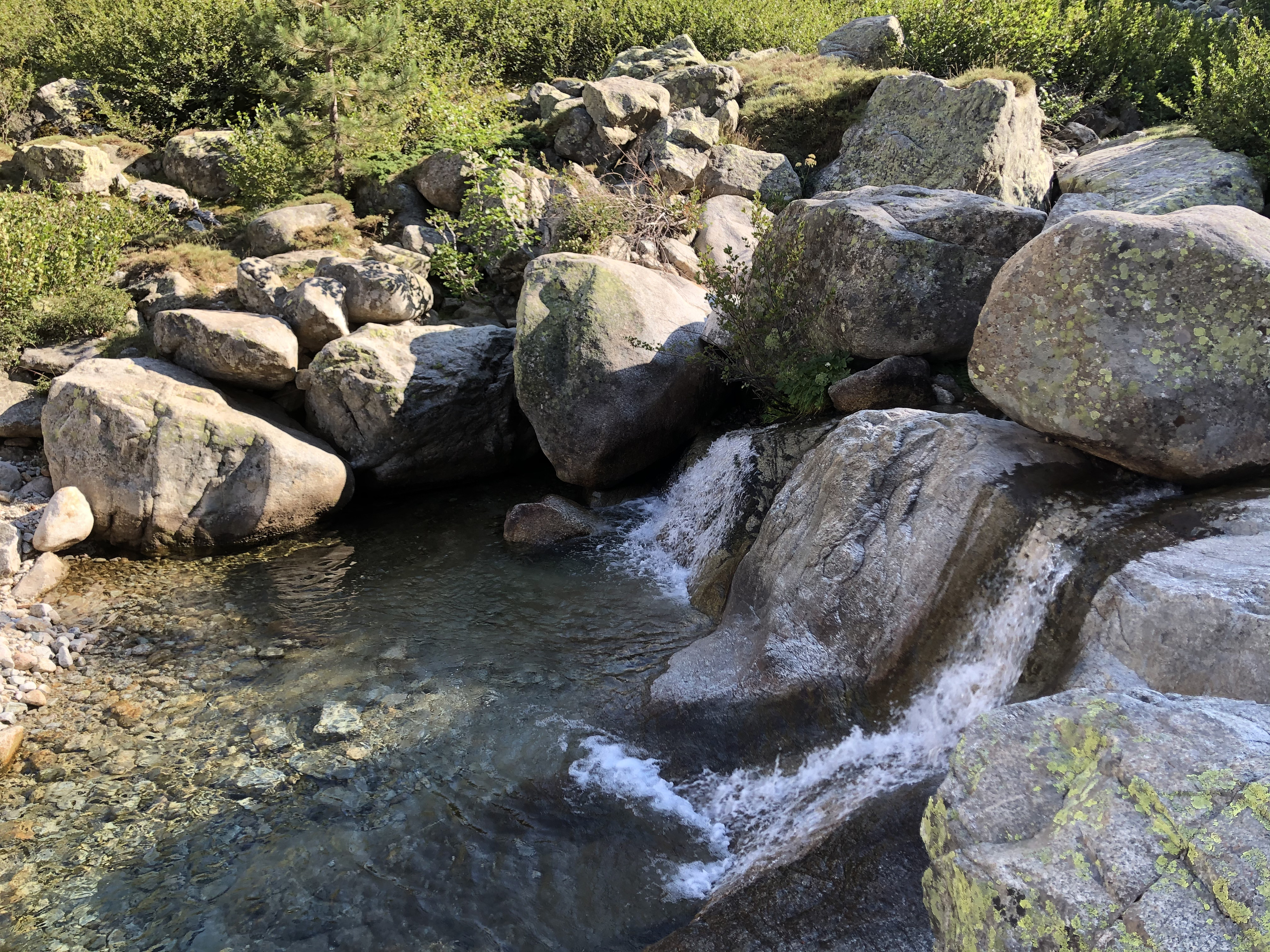 รูปถ่าย ฝรั่งเศส(France) คอร์สิคา(Corsica) หุบเขาลาเรสโตนีกา(La Restonica) 2020-07 15