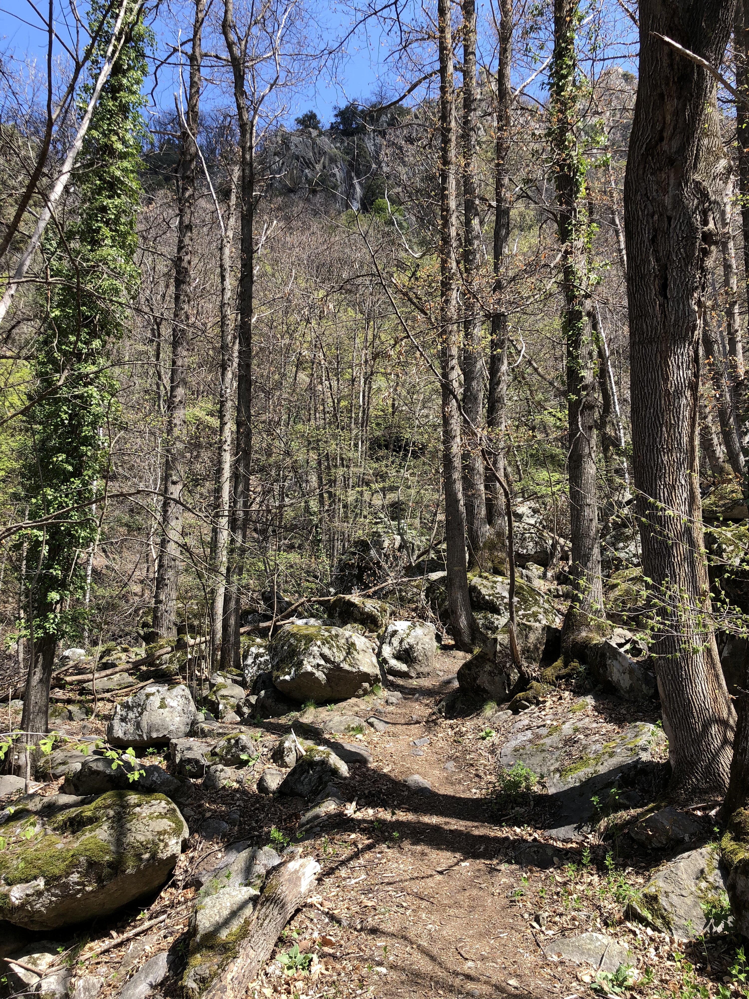 รูปถ่าย ฝรั่งเศส(France) แอบบีแซ็งมาร์แต็งดูกานีกู(Abbaye Saint Martin du Canigou) 2018-04 104