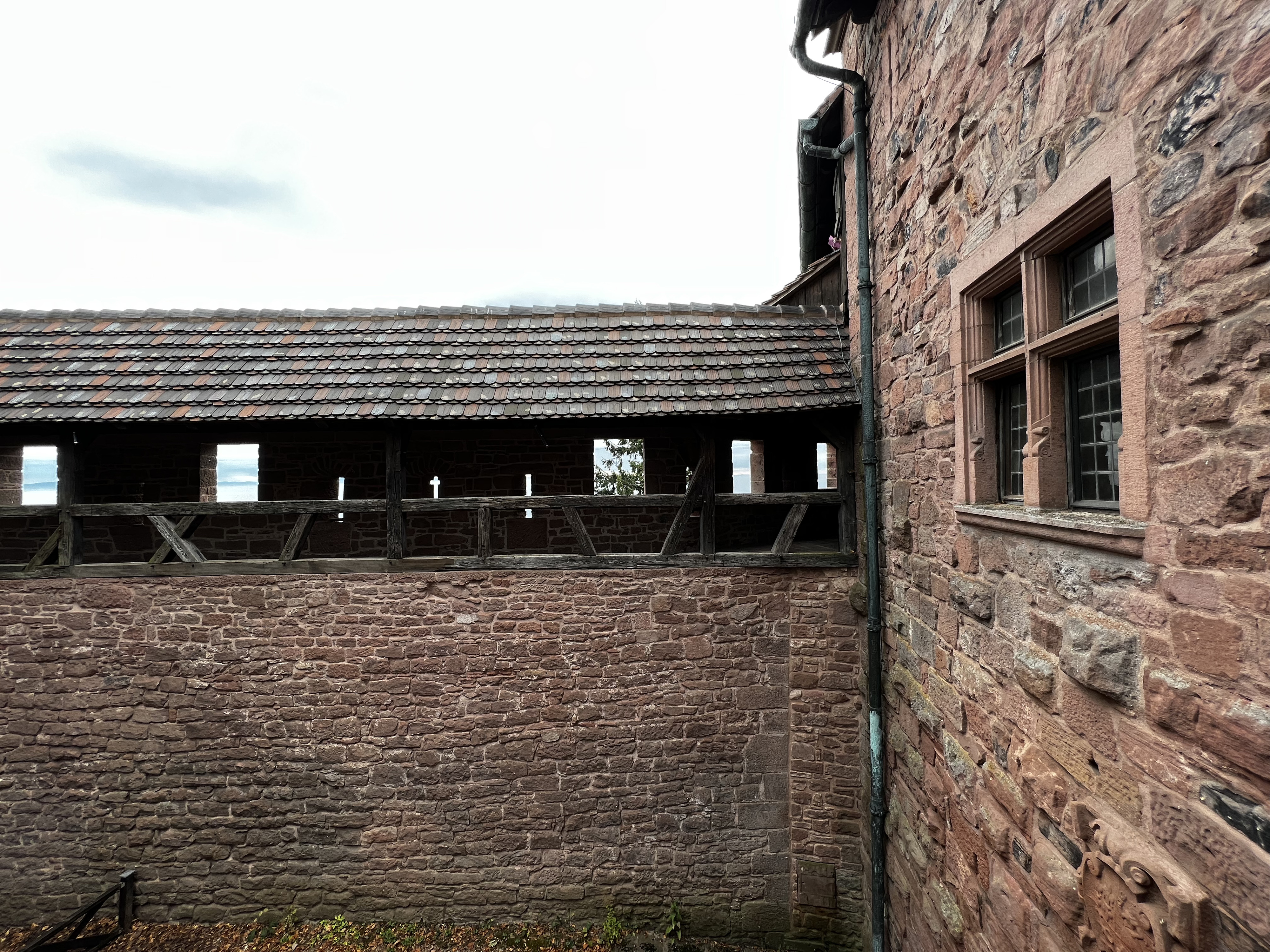 รูปถ่าย ฝรั่งเศส(France) ปราสาทโอ-เคอนิกส์บูร์ก(Koenigsbourg Castle) 2023-10 130