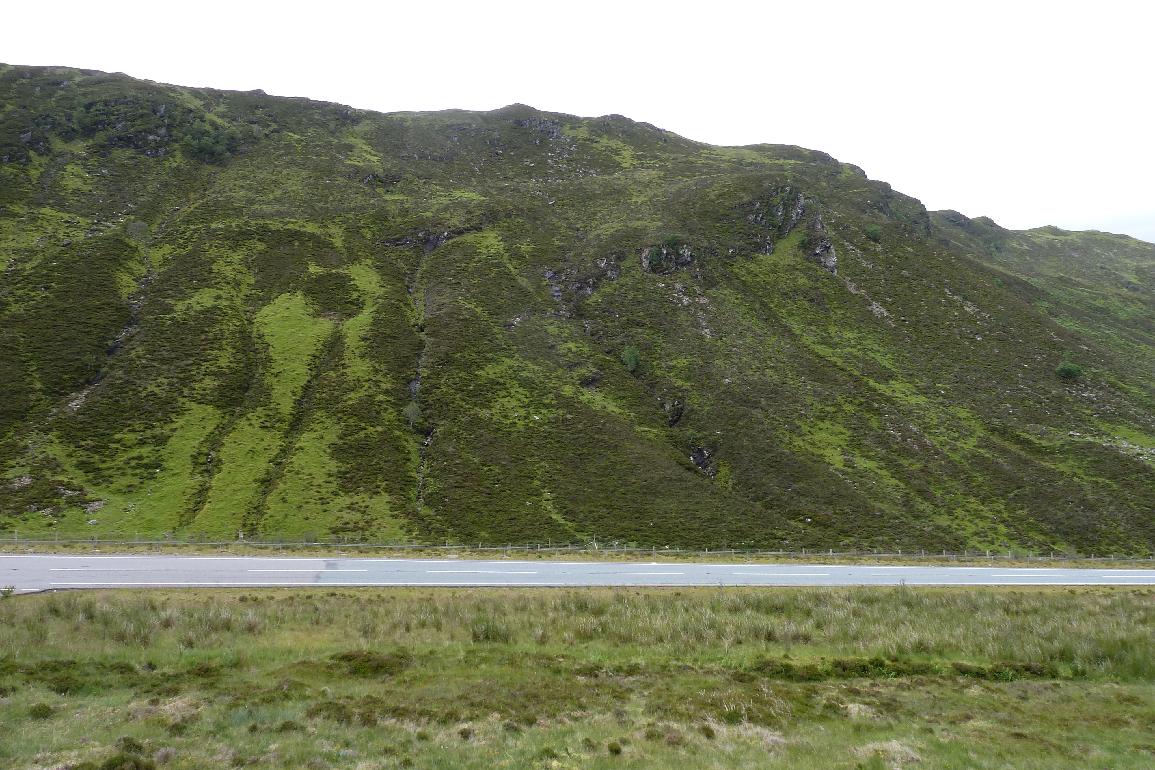 รูปถ่าย อังกฤษ(United Kingdom) สกอตแลนด์(Scotland) ทะเลสาบลอคมารี(Loch Maree) 2011-07 22