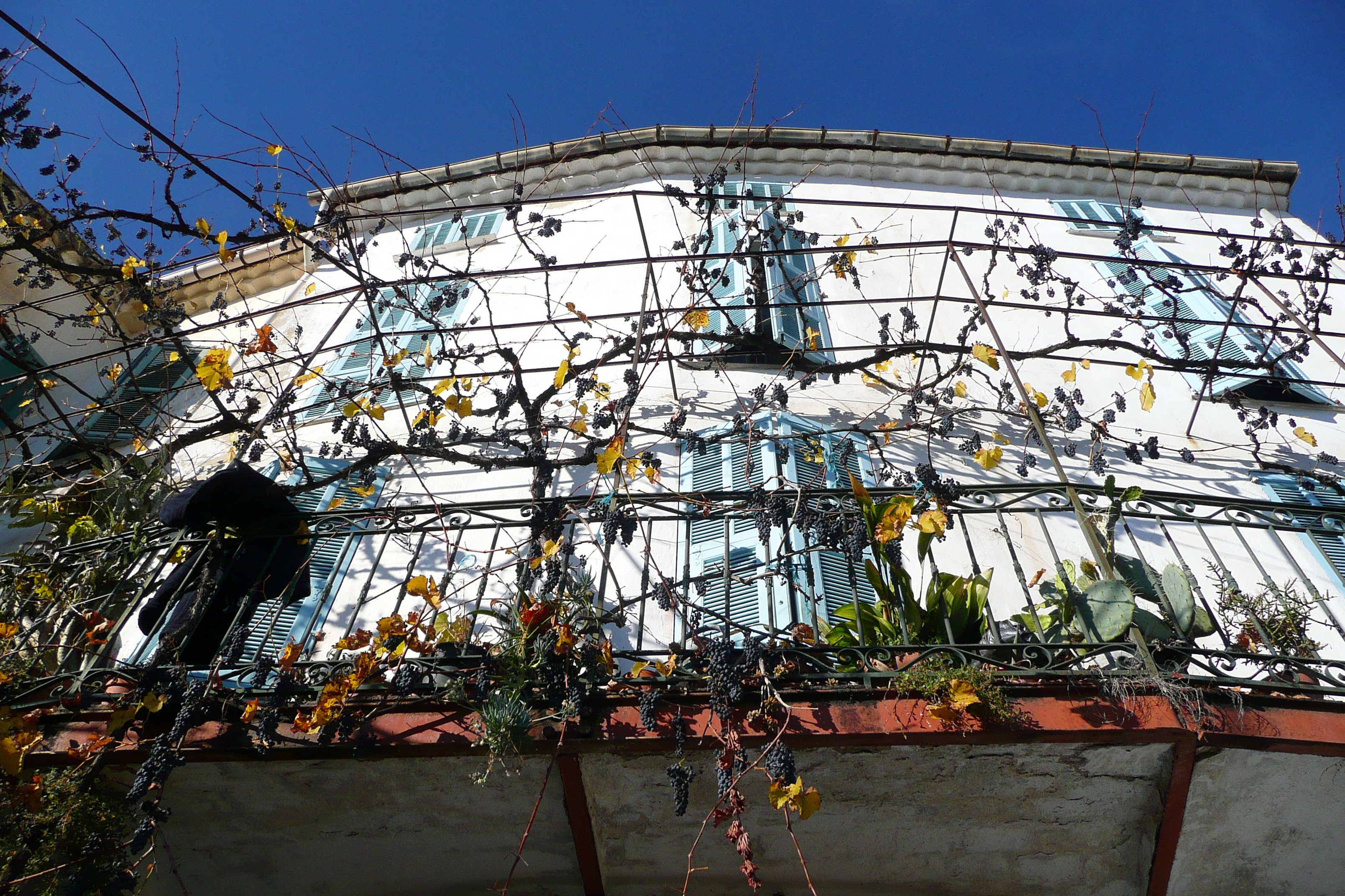 รูปถ่าย ฝรั่งเศส(France) แซ็ง-ฌาเน(Saint Jeannet) 2007-11 70
