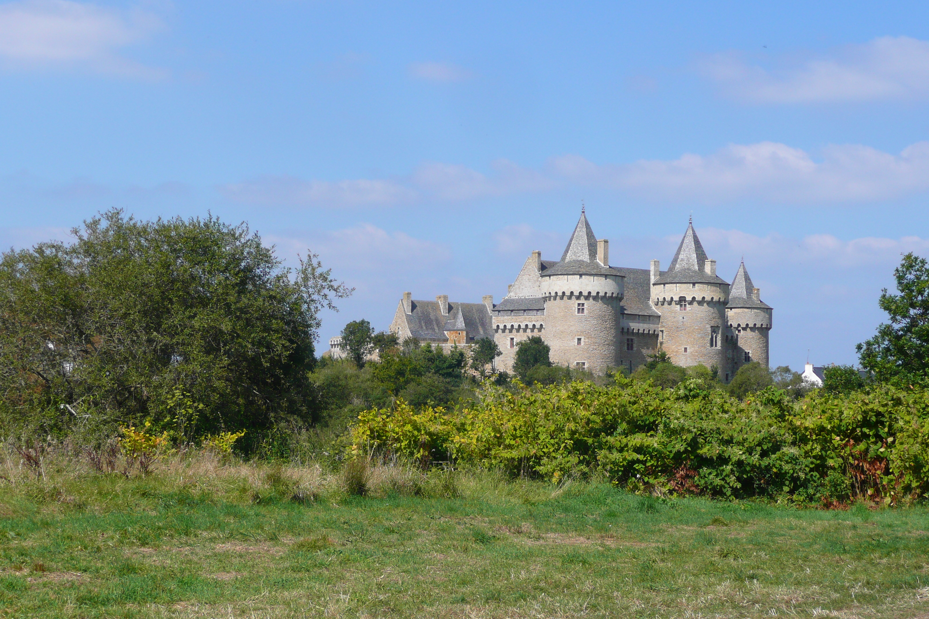 รูปถ่าย ฝรั่งเศส(France) ซืสซีนีโอ(Suscinio) ปราสาทซูซีนีโอ(Suscinio Castle) 2007-09 77