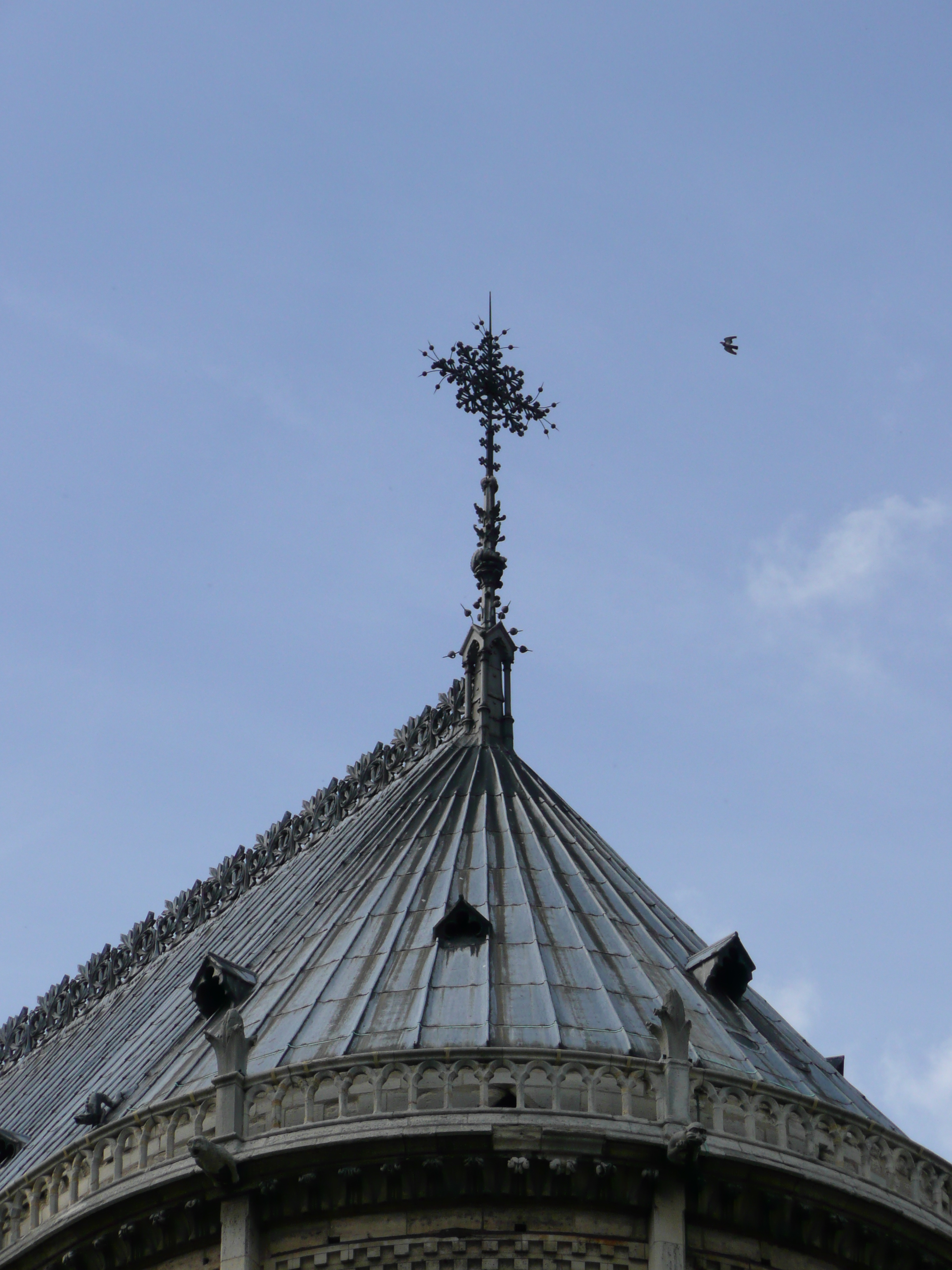 รูปถ่าย ฝรั่งเศส(France) ปารีส(Paris) มหาวิหารน็อทร์-ดาม(Notre Dame) 2007-05 97