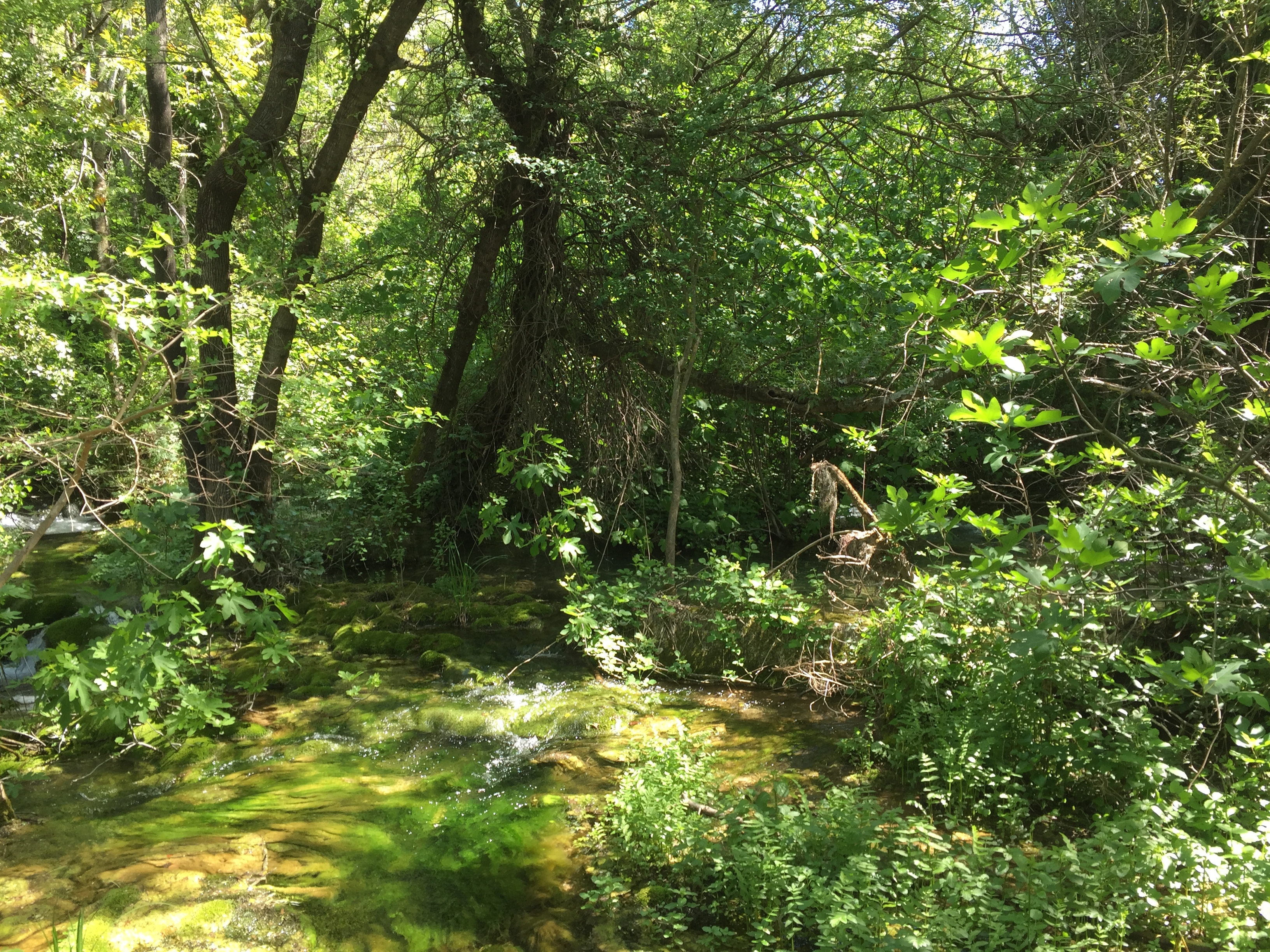 รูปถ่าย โครเอเชีย(Croatia) อุทยานแห่งชาติเคอร์คา(Krka National Park) 2016-04 80