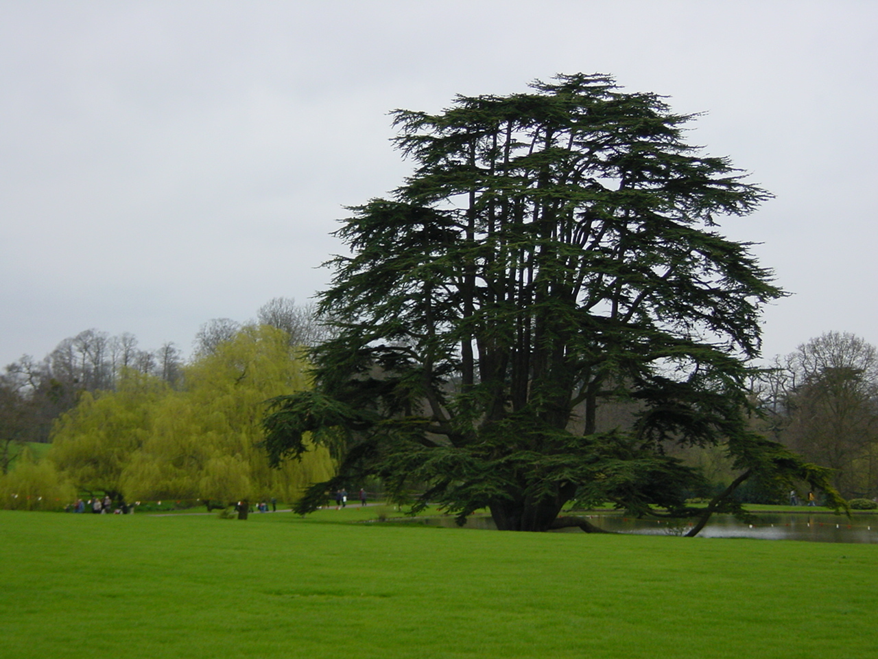 รูปถ่าย อังกฤษ(United Kingdom) ปราสาทลีดส์(Leeds castle) 2001-04 14