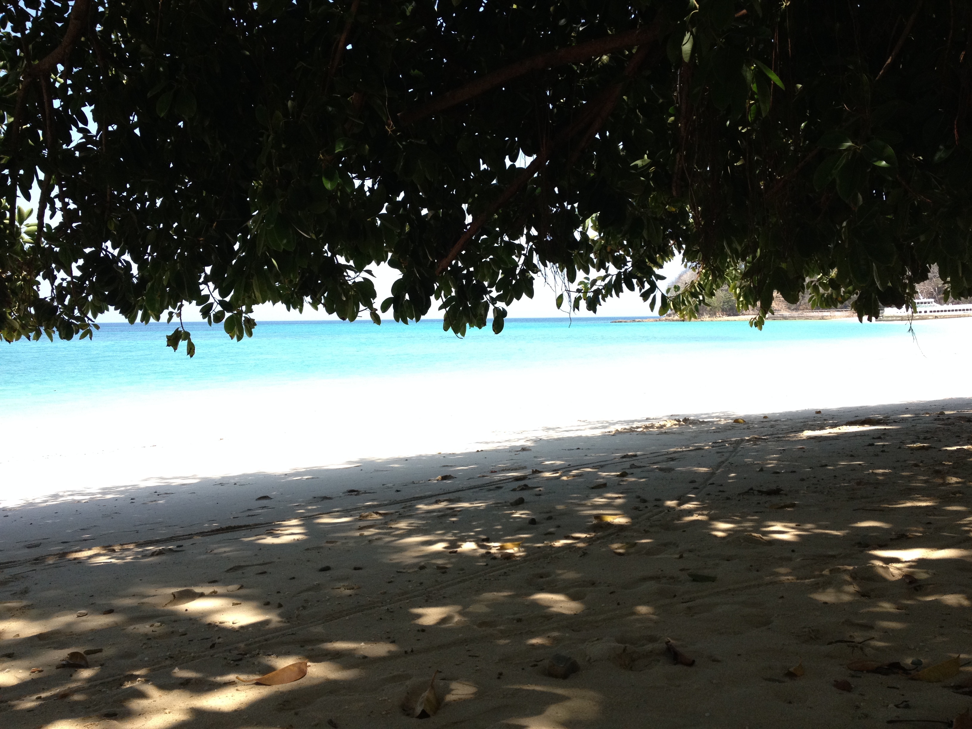 รูปถ่าย ปานามา(Panama) เกาะคอนตาโดรา(Contadora Island) 2015-03 140