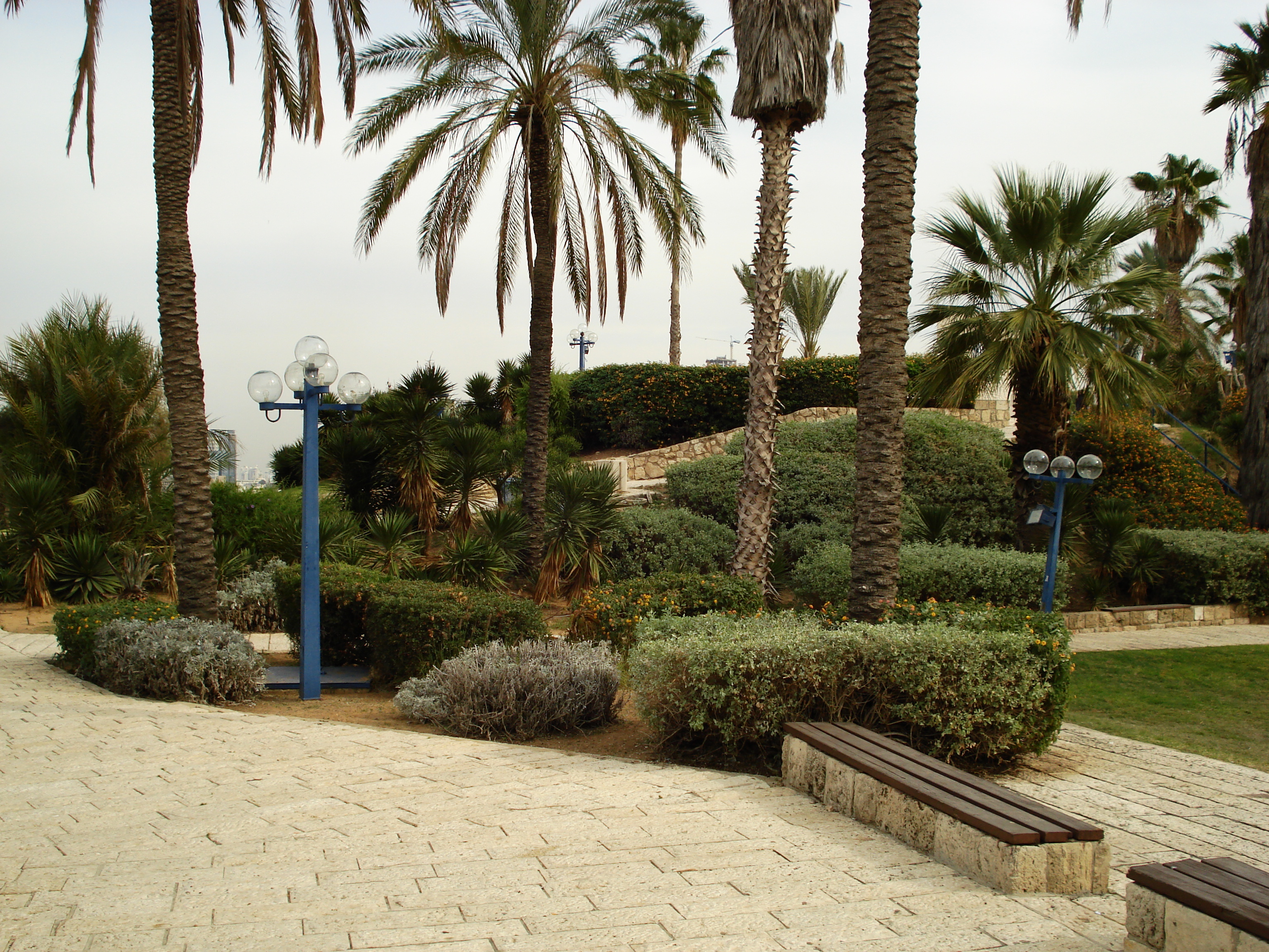รูปถ่าย อิสราเอล(Israel) จาฟา(Jaffa) 2006-12 156
