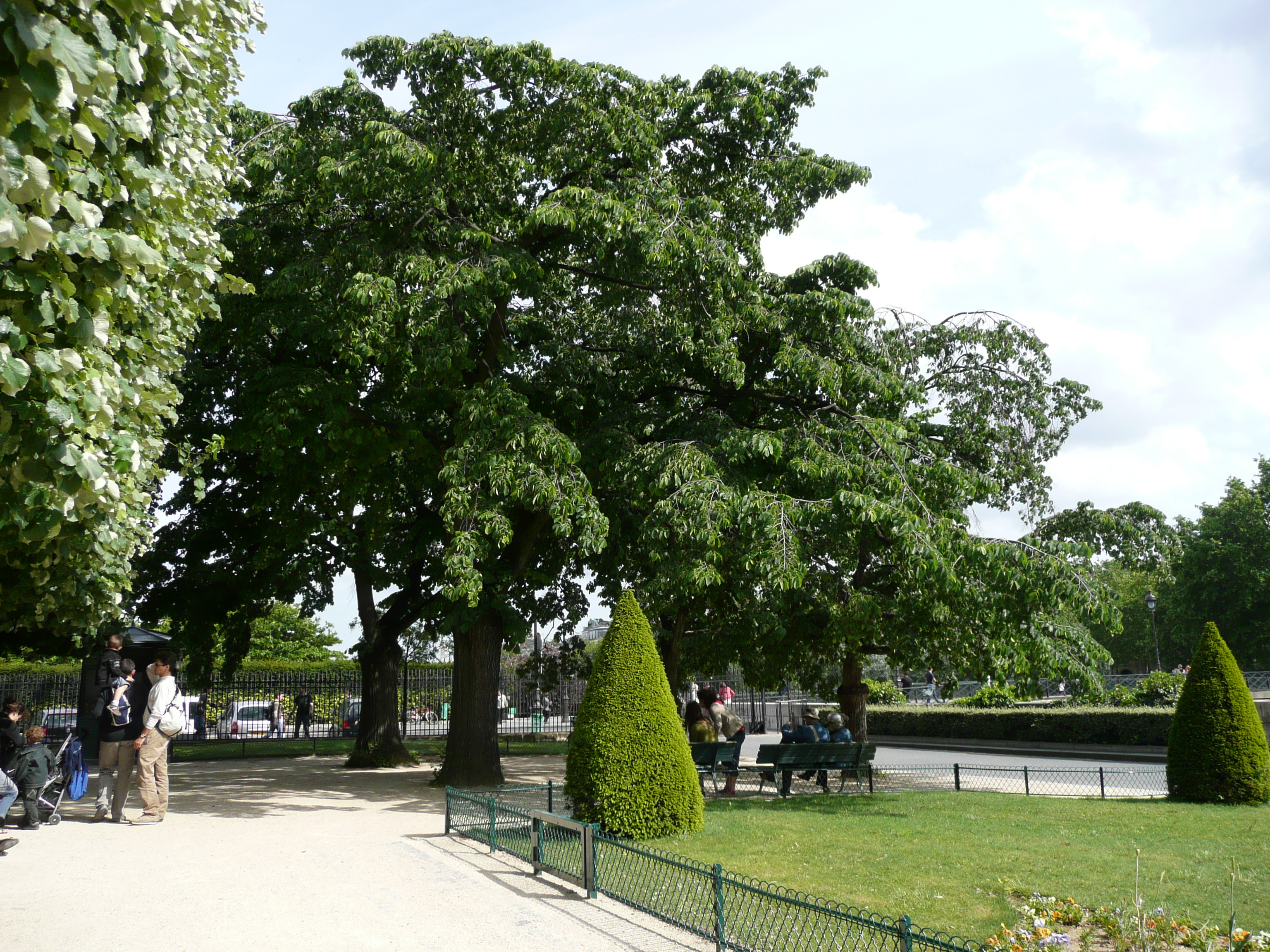 รูปถ่าย ฝรั่งเศส(France) ปารีส(Paris) มหาวิหารน็อทร์-ดาม(Notre Dame) 2007-05 112