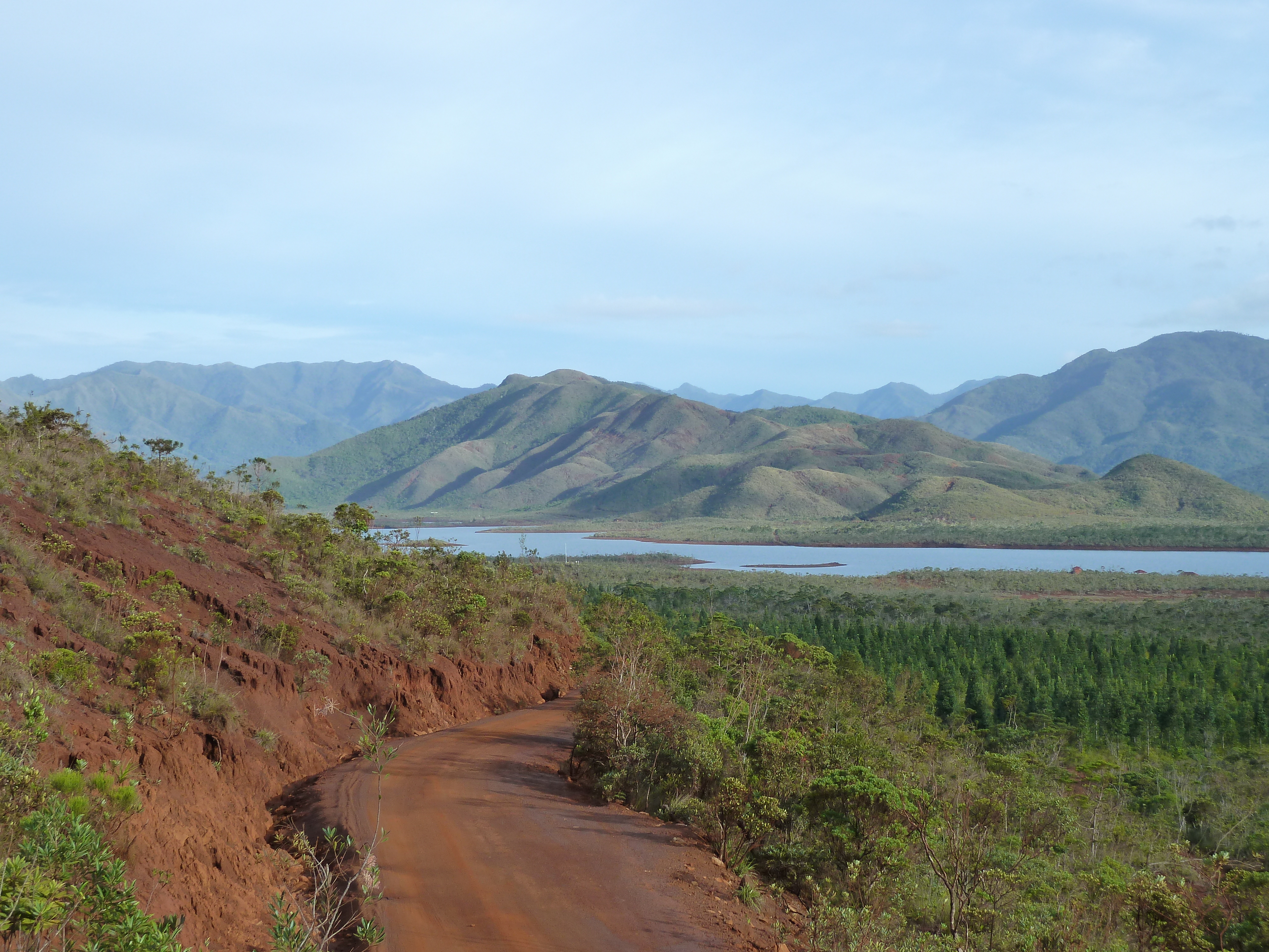 รูปถ่าย นิวแคลิโดเนีย(New Caledonia) อุทยานริเวียร์เบลอ(Parc de la Riviere Bleue) 2010-05 135
