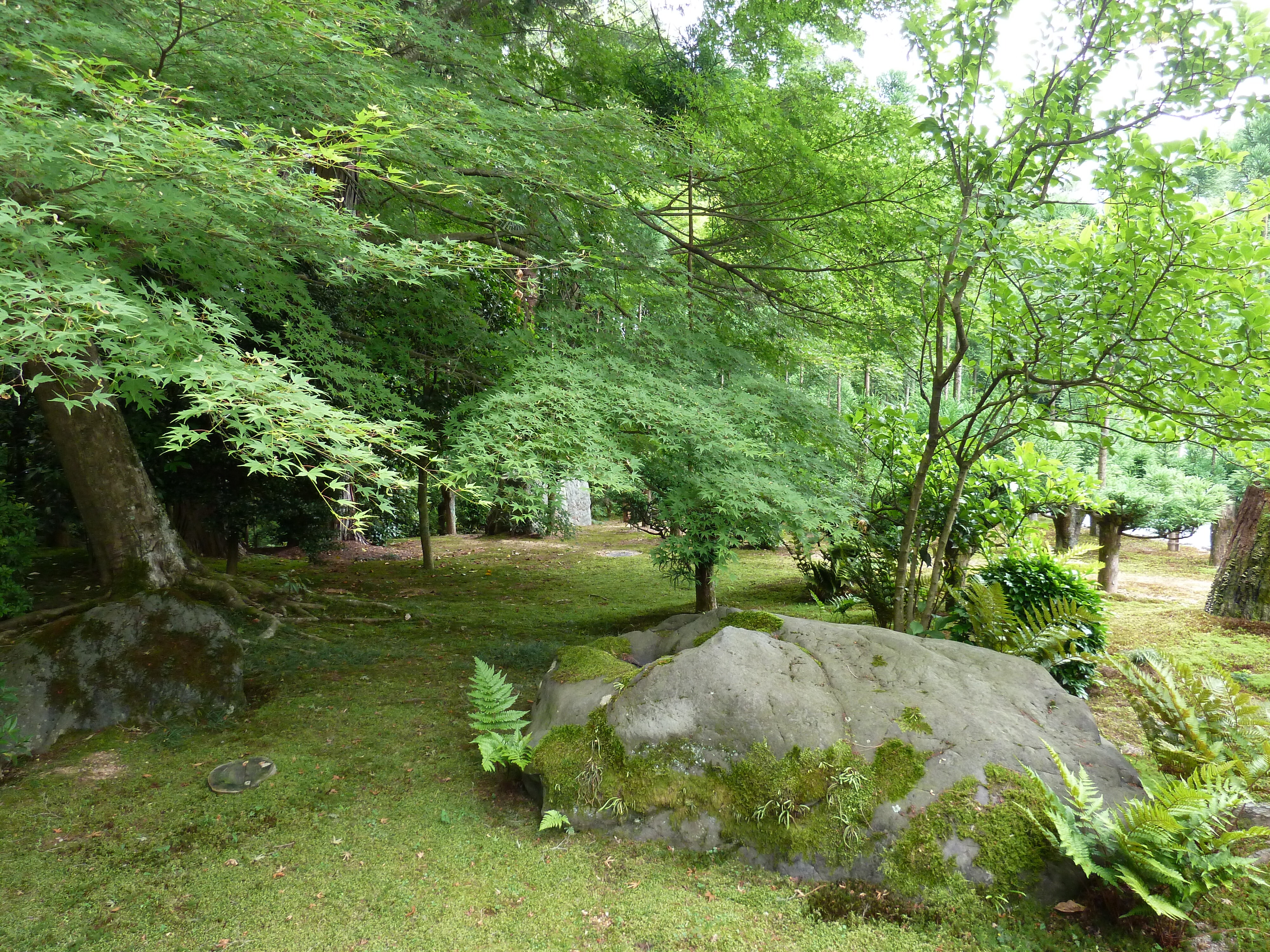 รูปถ่าย ญี่ปุ่น(Japan) เกียวโต(Kyoto) วัดเรียวอันจิ(Ryoanji Temple) 2010-06 28