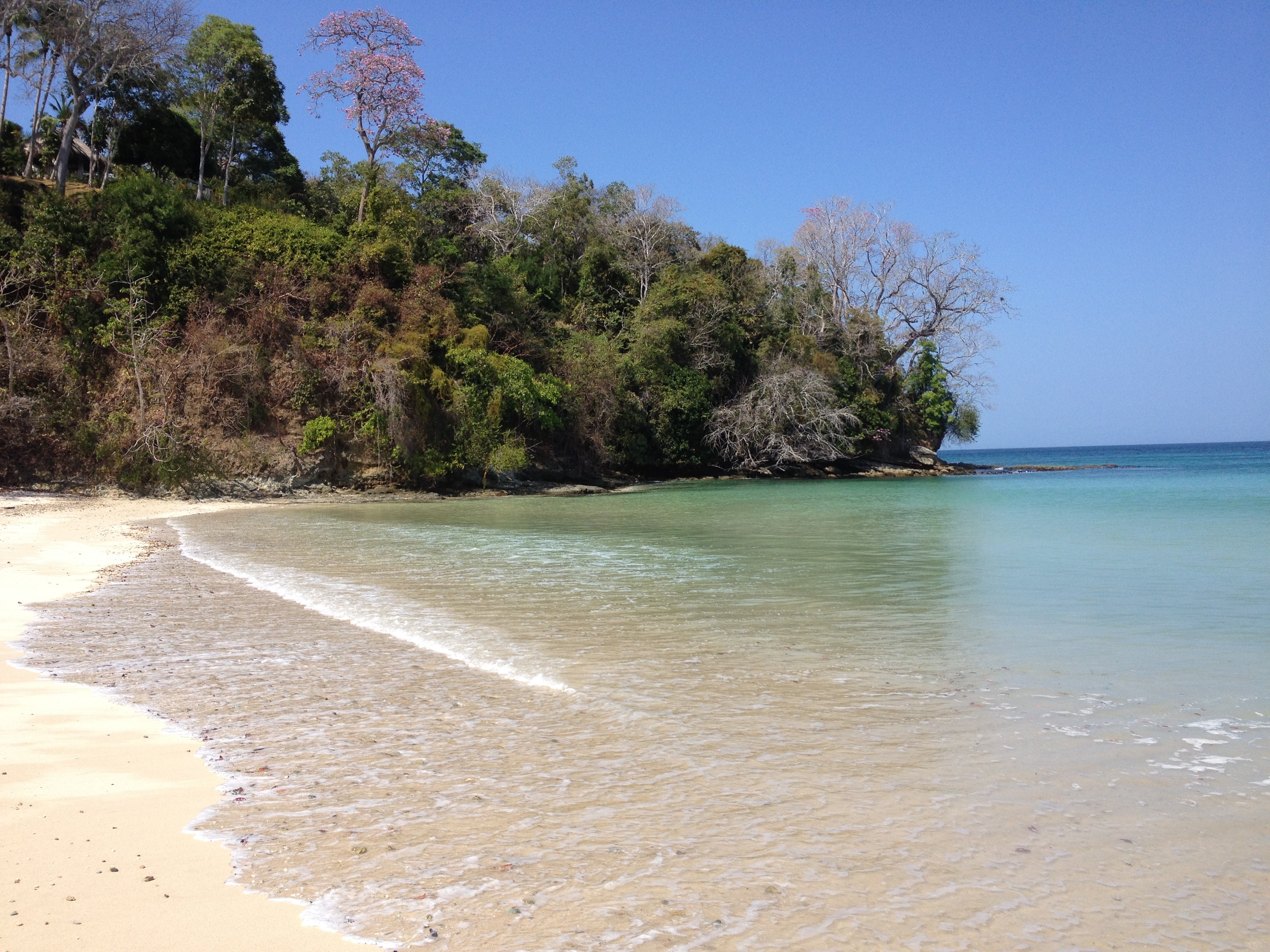 รูปถ่าย ปานามา(Panama) เกาะคอนตาโดรา(Contadora Island) 2015-03 160