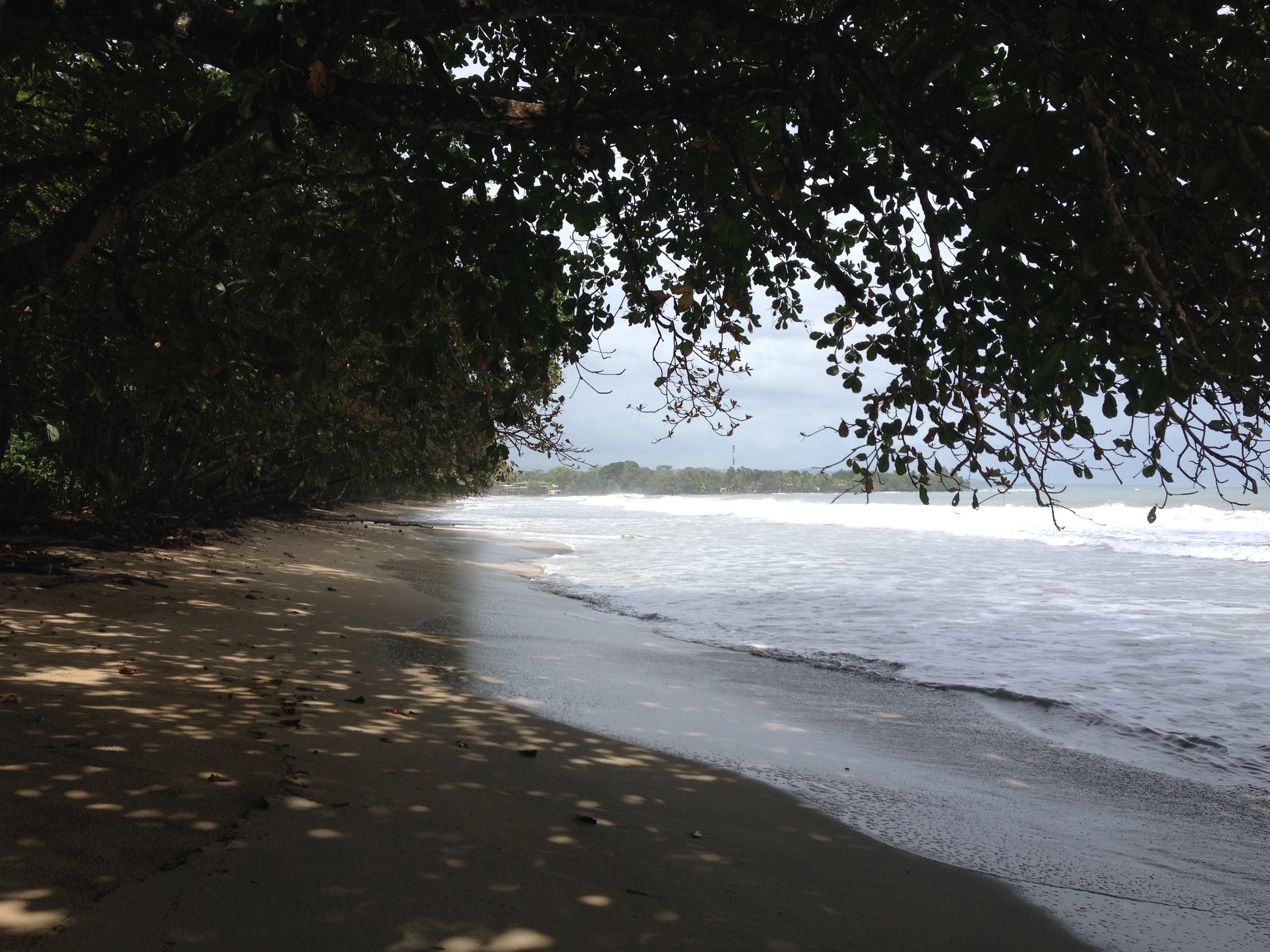 รูปถ่าย คอสตาริกา(Costa Rica) กาอุยตา(Cahuita) 2015-03 75