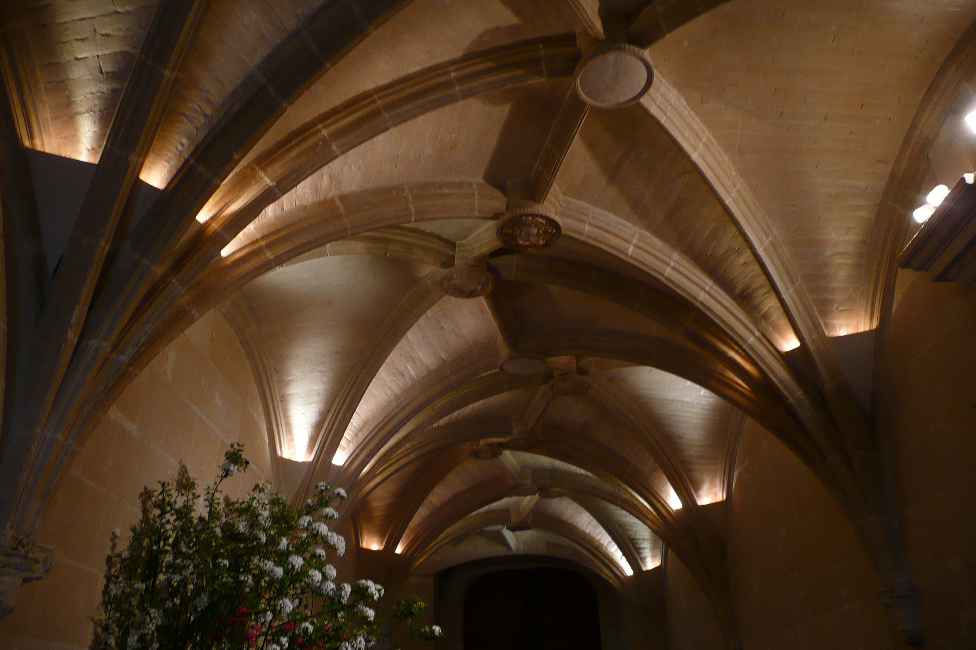 รูปถ่าย ฝรั่งเศส(France) ปราสาทเชอนงโซ(Chenonceau Castle) 2008-04 27