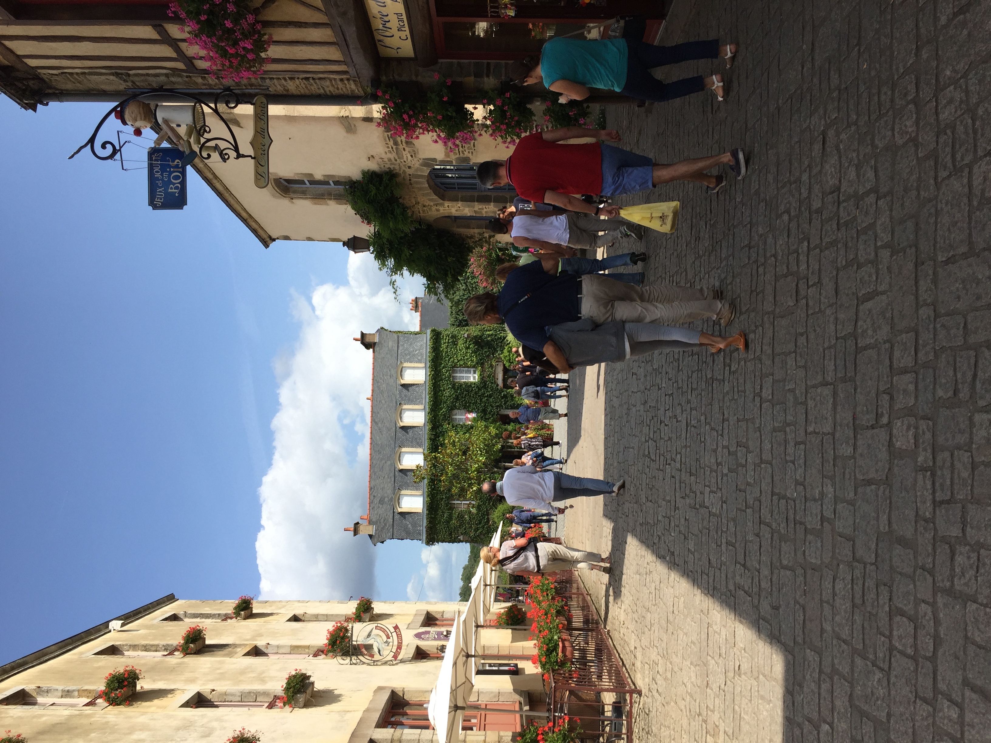 รูปถ่าย ฝรั่งเศส(France) รอชฟอร์-อ็อง-แตร์(Rochefort en terre) 2017-08 74