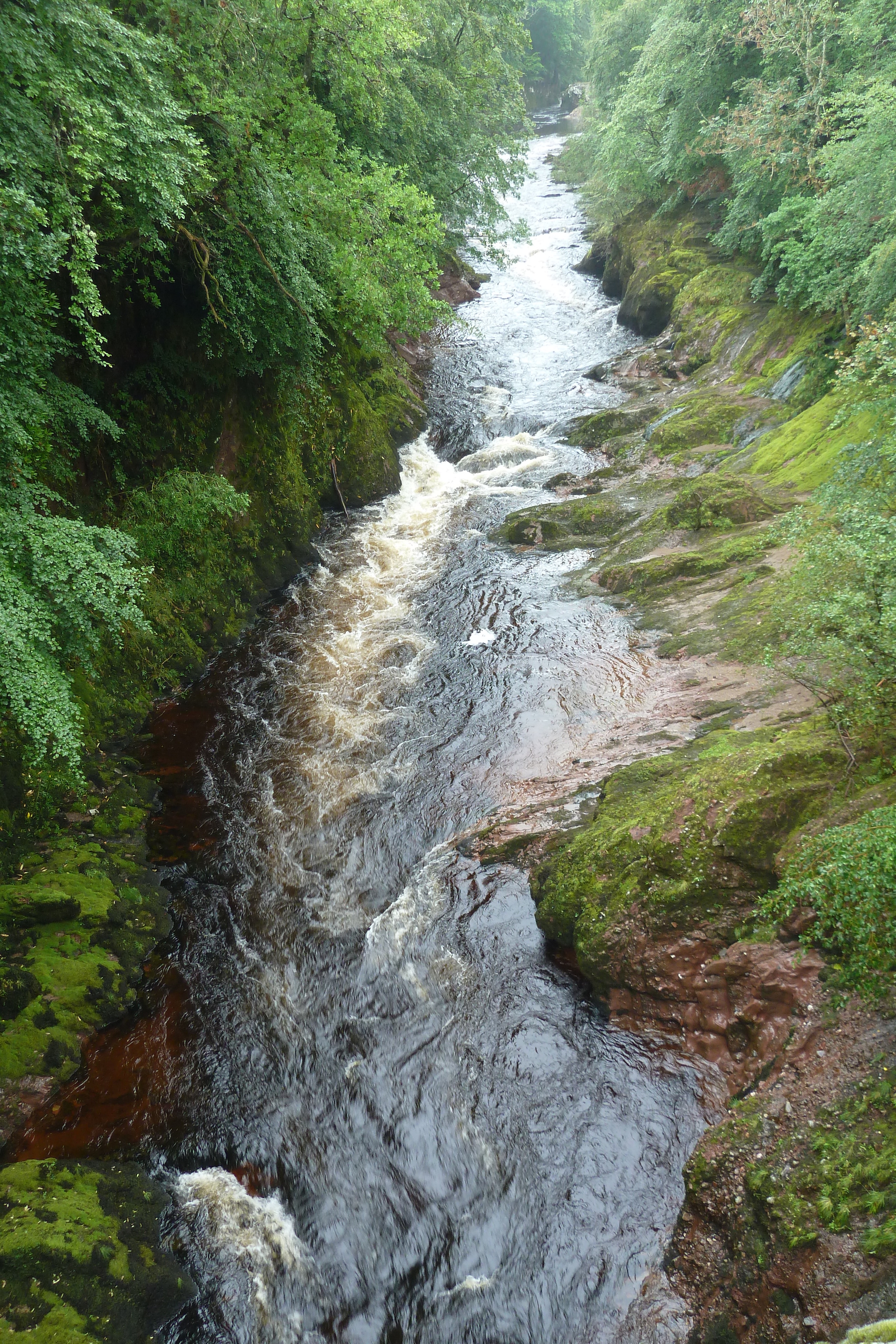 รูปถ่าย อังกฤษ(United Kingdom) สกอตแลนด์(Scotland) เบรคิน(Brechin) 2011-07 1