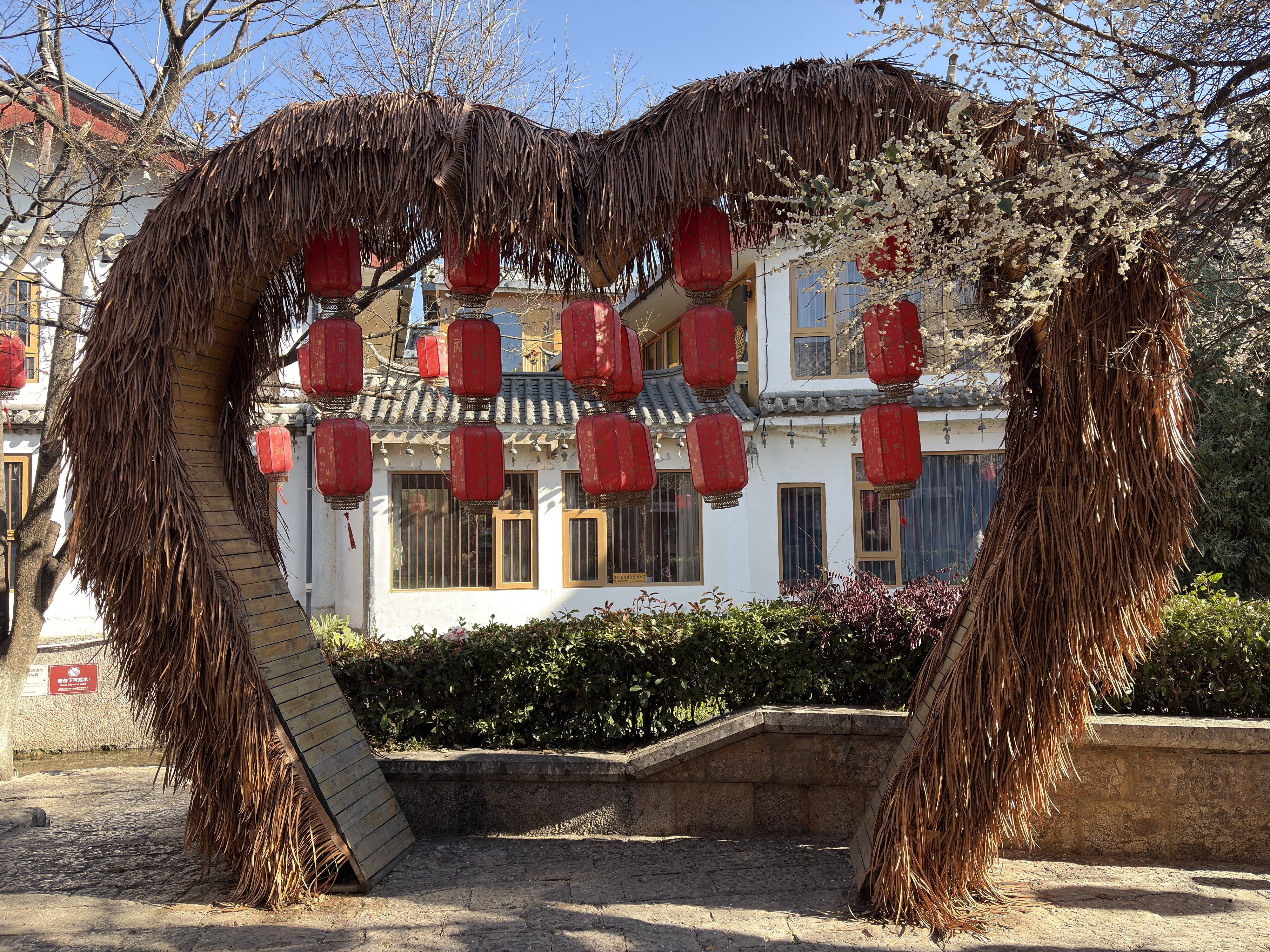 รูปถ่าย จีน(China) ลี่เจียง(Lijiang) 2026-01 648