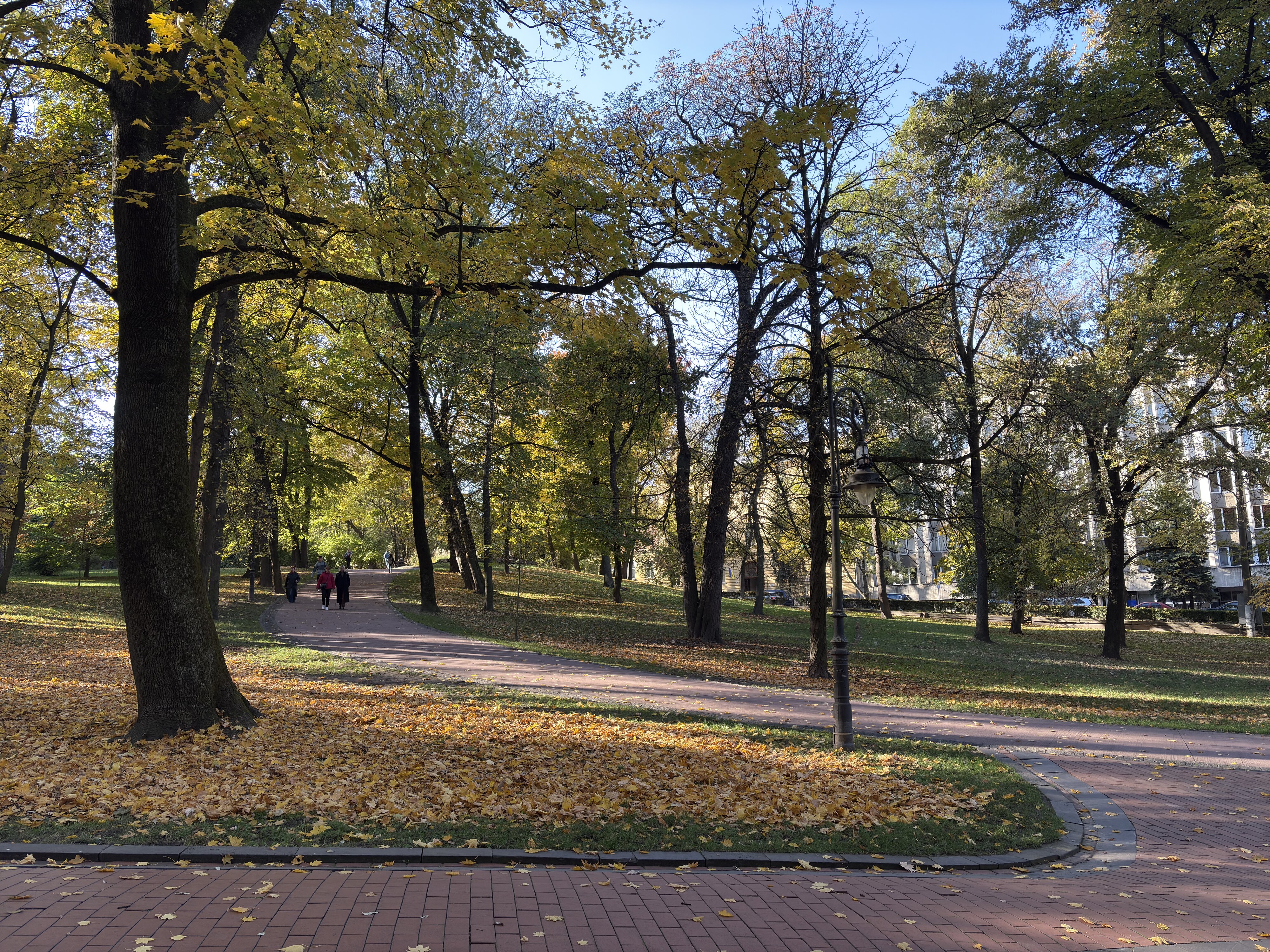 รูปถ่าย ยูเครน(Ukraine) ลวิฟ(Lviv) 2024-10 55