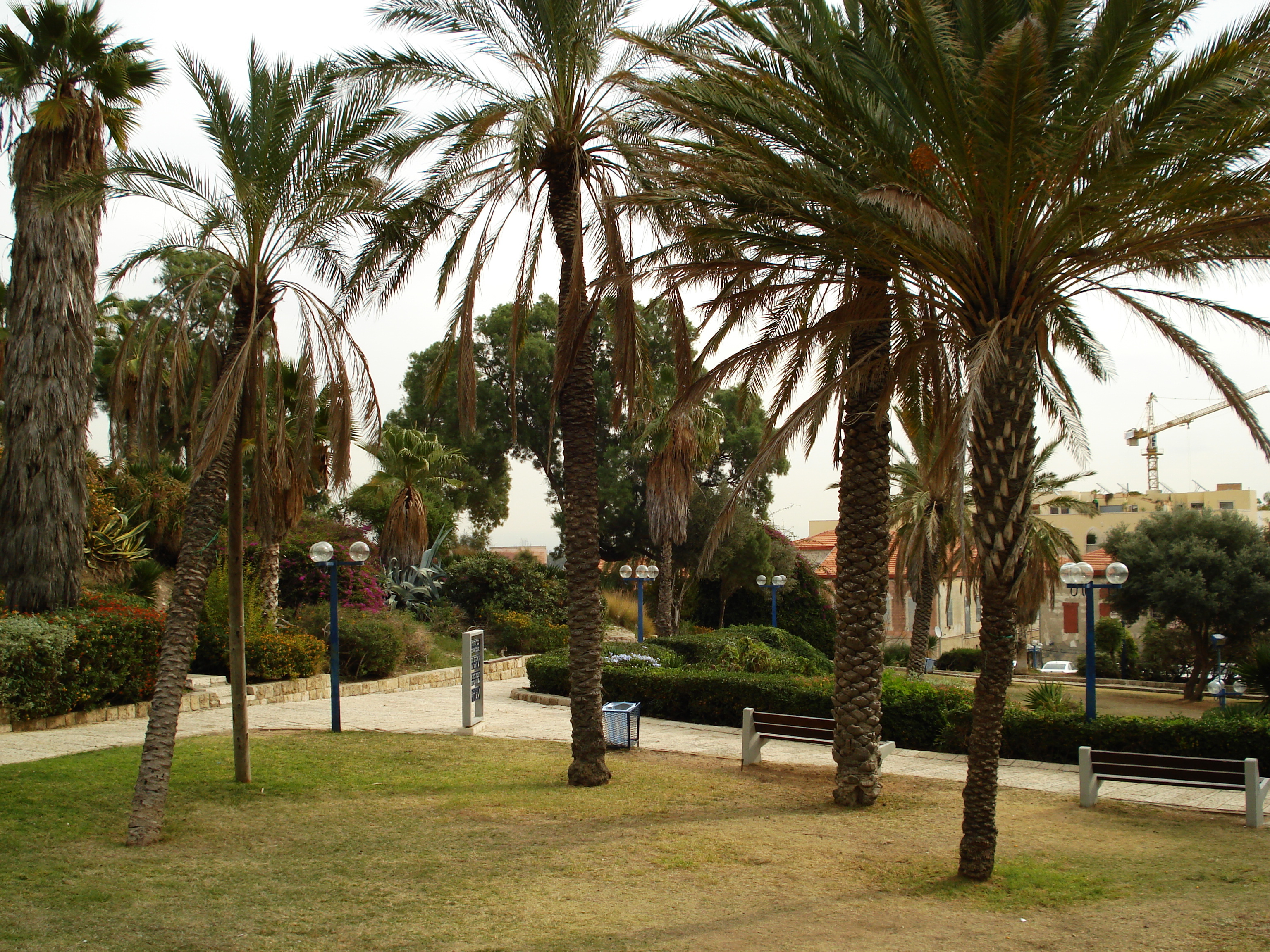 รูปถ่าย อิสราเอล(Israel) จาฟา(Jaffa) 2006-12 172