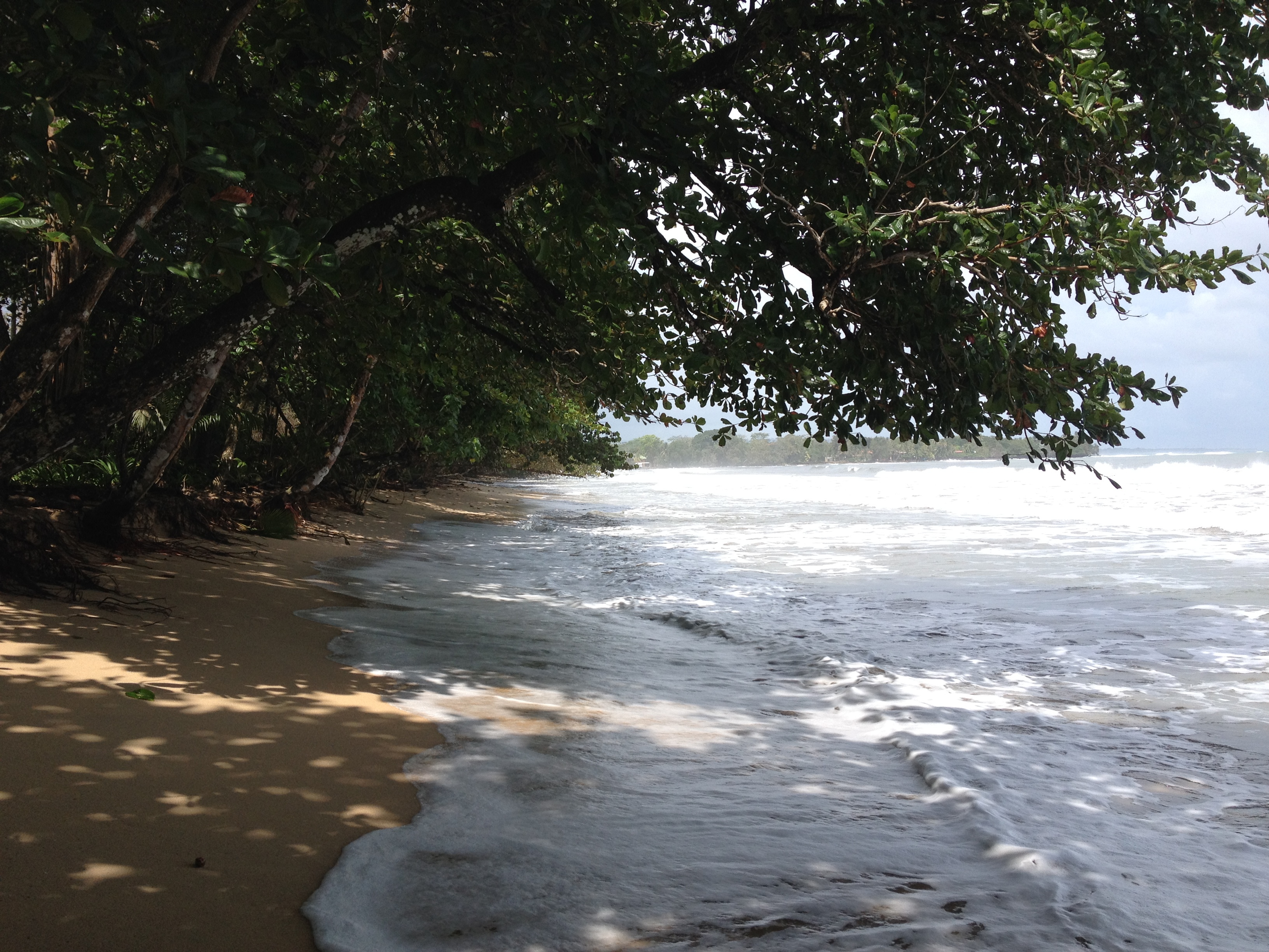 รูปถ่าย คอสตาริกา(Costa Rica) กาอุยตา(Cahuita) 2015-03 197