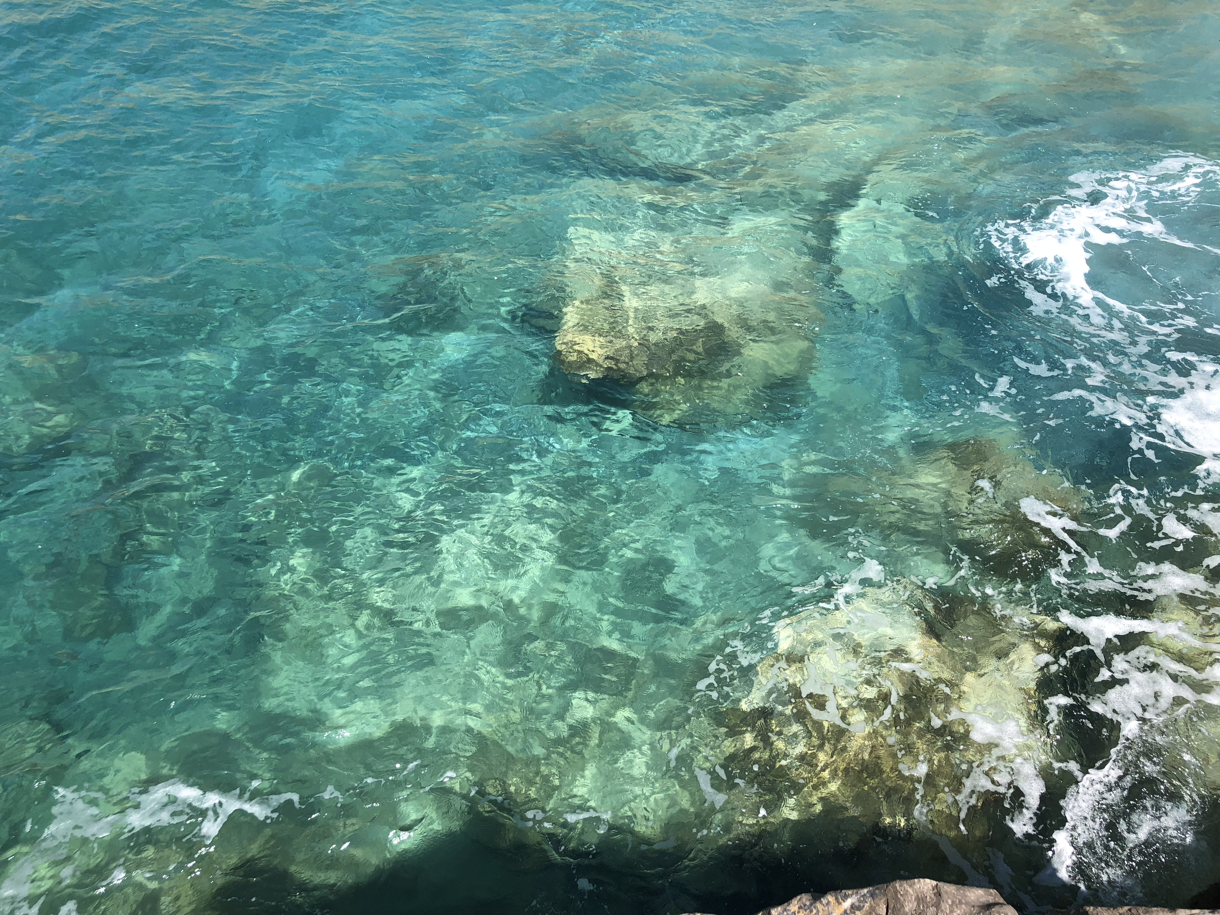 รูปถ่าย กรีก(Greece) เกาะอัสติปาเลีย(Astypalea) 2018-07 202