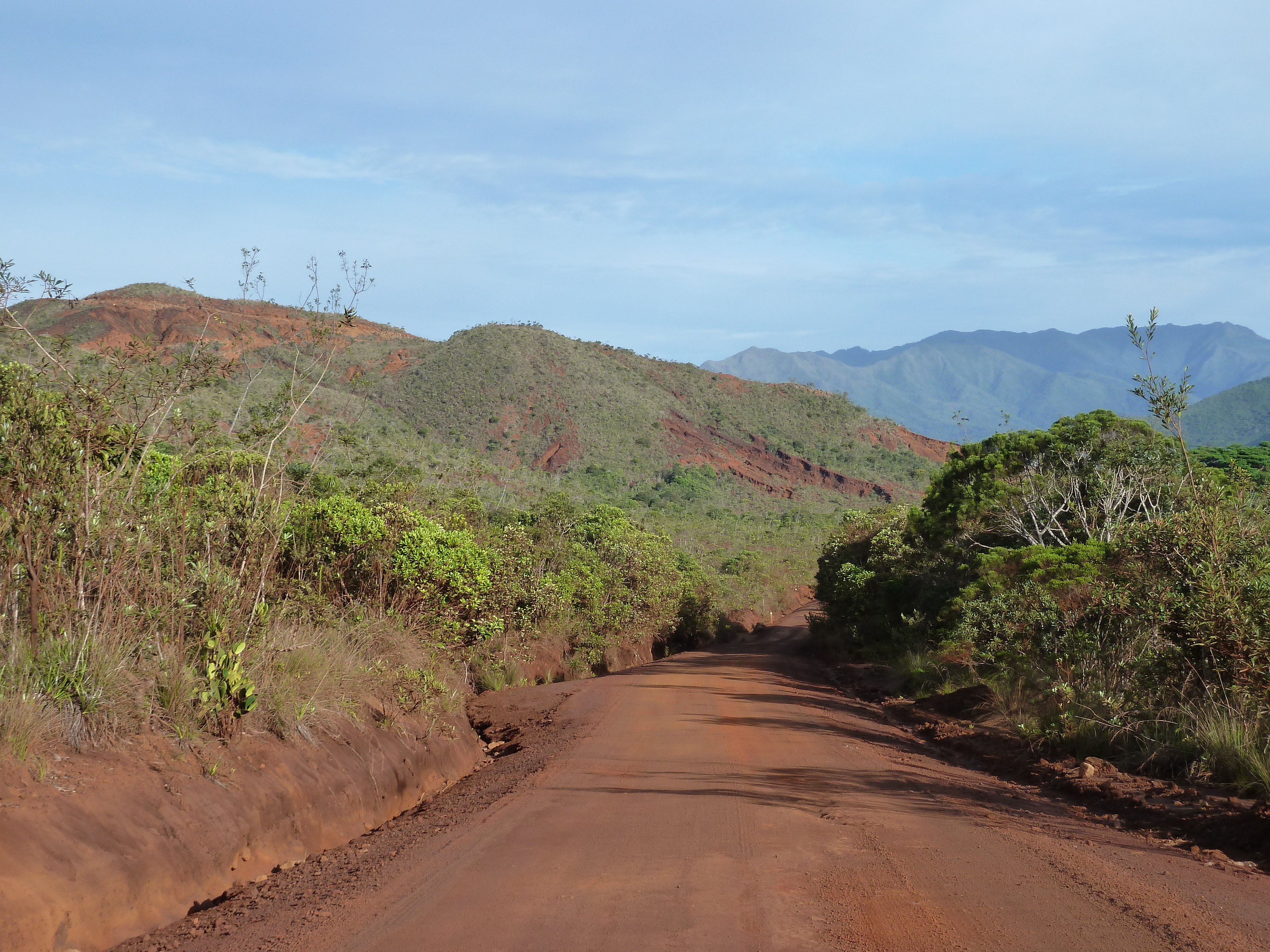รูปถ่าย นิวแคลิโดเนีย(New Caledonia) อุทยานริเวียร์เบลอ(Parc de la Riviere Bleue) 2010-05 119