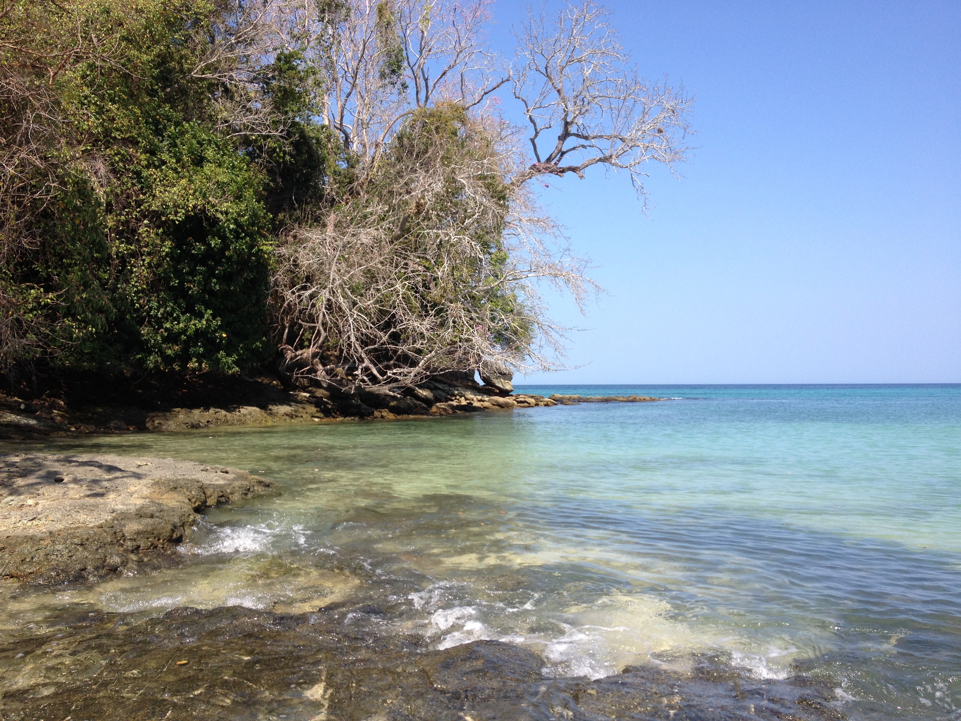 รูปถ่าย ปานามา(Panama) เกาะคอนตาโดรา(Contadora Island) 2015-03 29