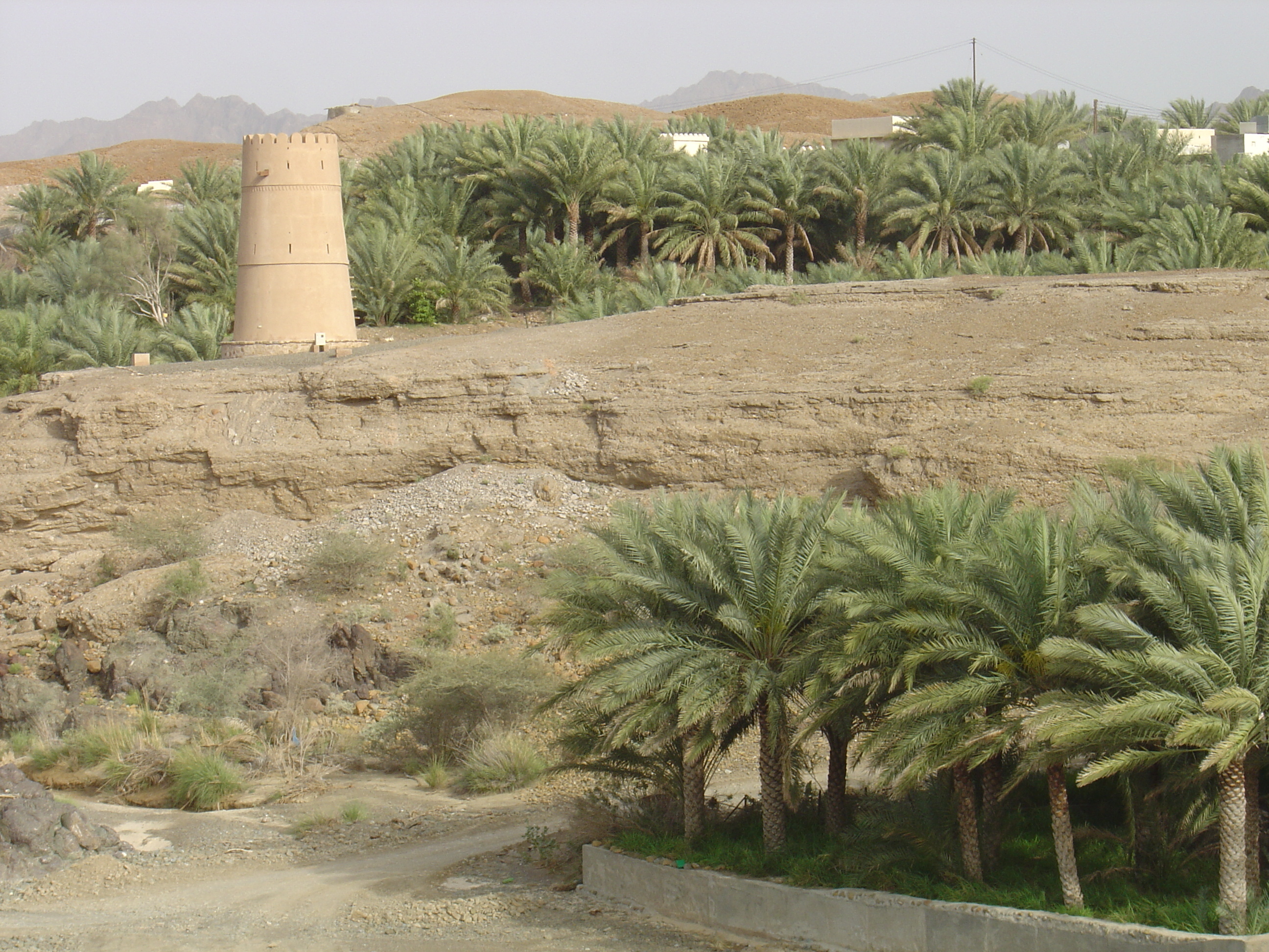 รูปถ่าย โอมาน(Oman) จากบูไรมิไปถนนโซฮาร์(Buraimi to Sohar road) 2005-03 21