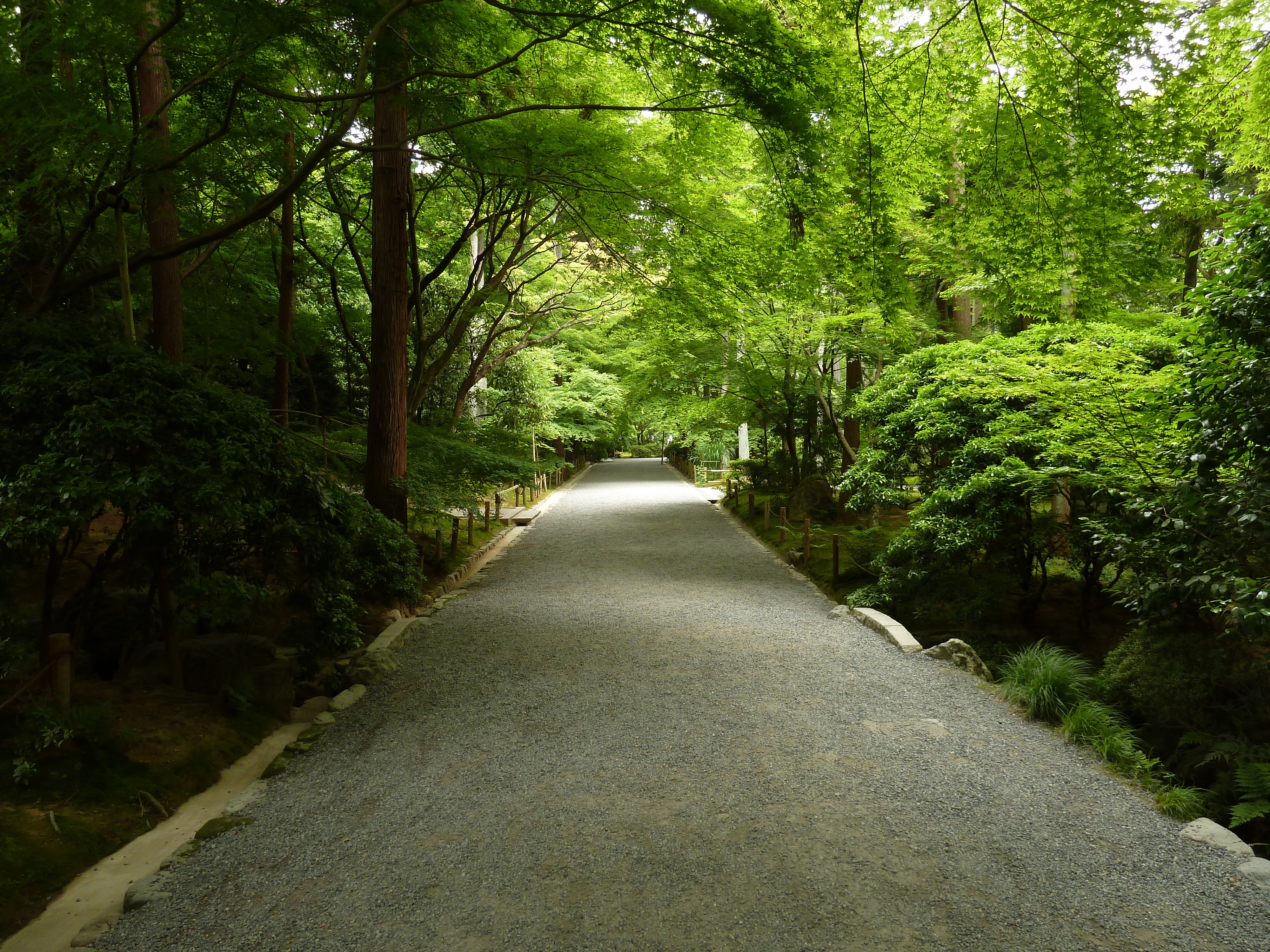 รูปถ่าย ญี่ปุ่น(Japan) เกียวโต(Kyoto) วัดเรียวอันจิ(Ryoanji Temple) 2010-06 79