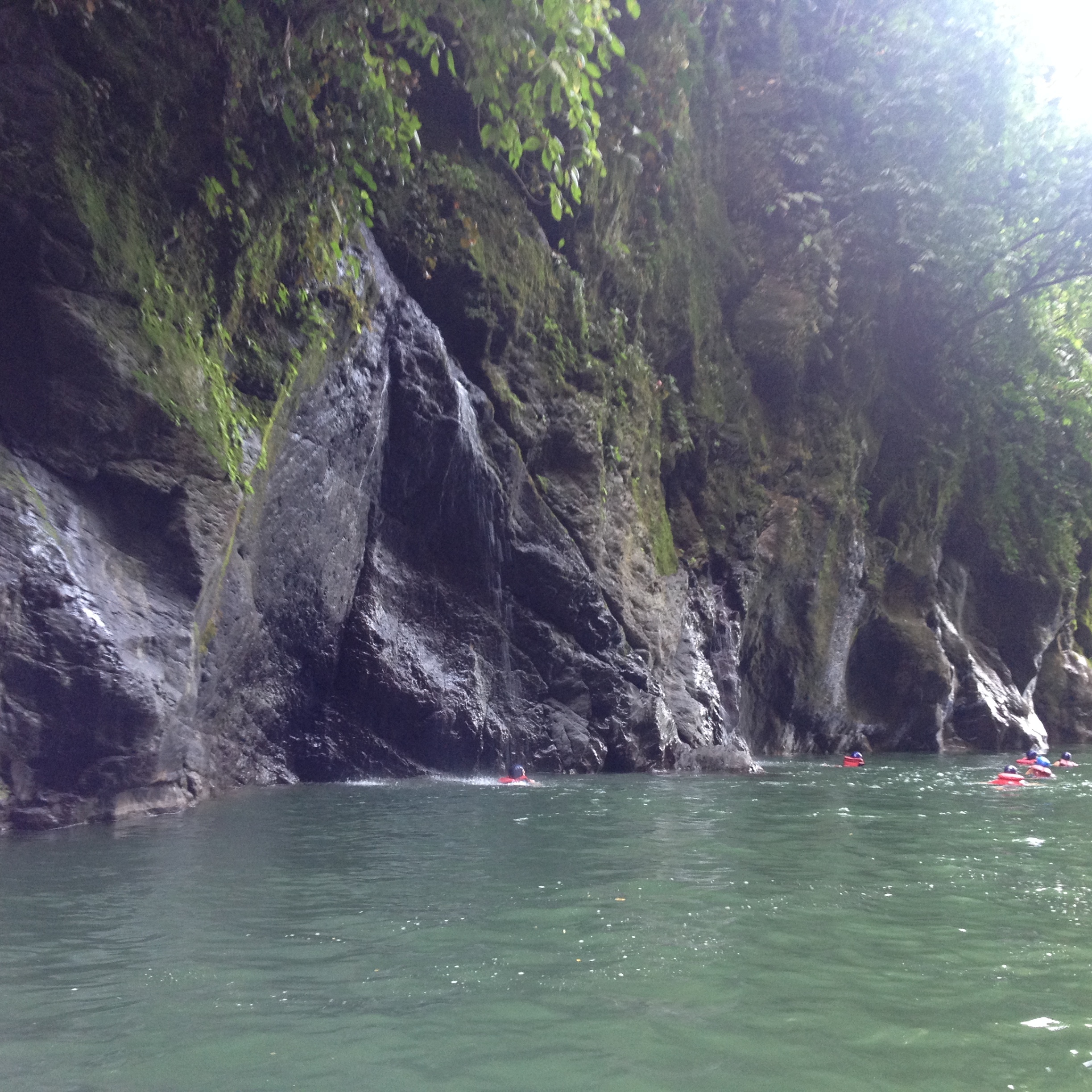 รูปถ่าย คอสตาริกา(Costa Rica) แม่น้ำปากัวเร(Pacuare River) 2015-03 189